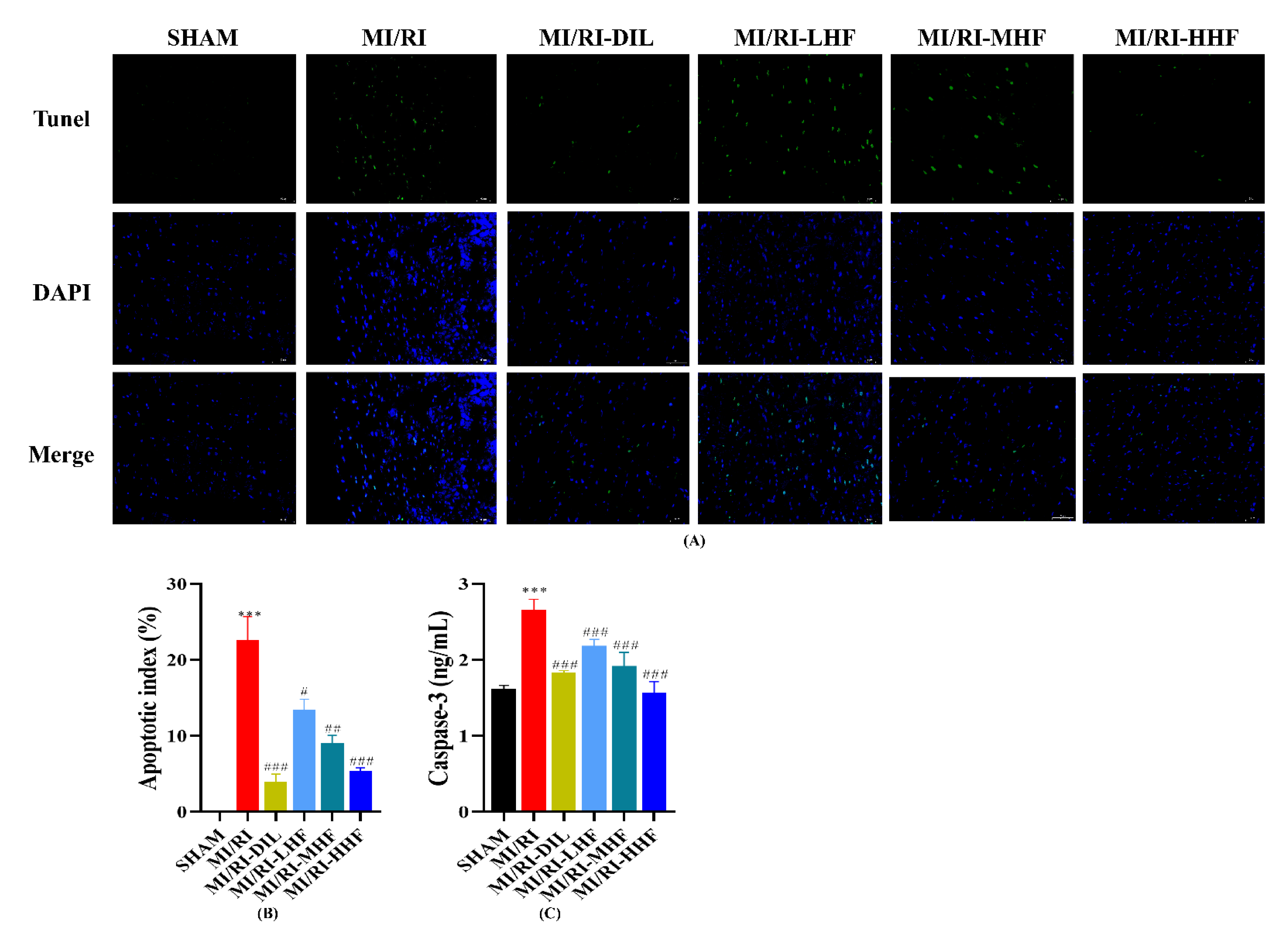 Molecules 27 05371 g007