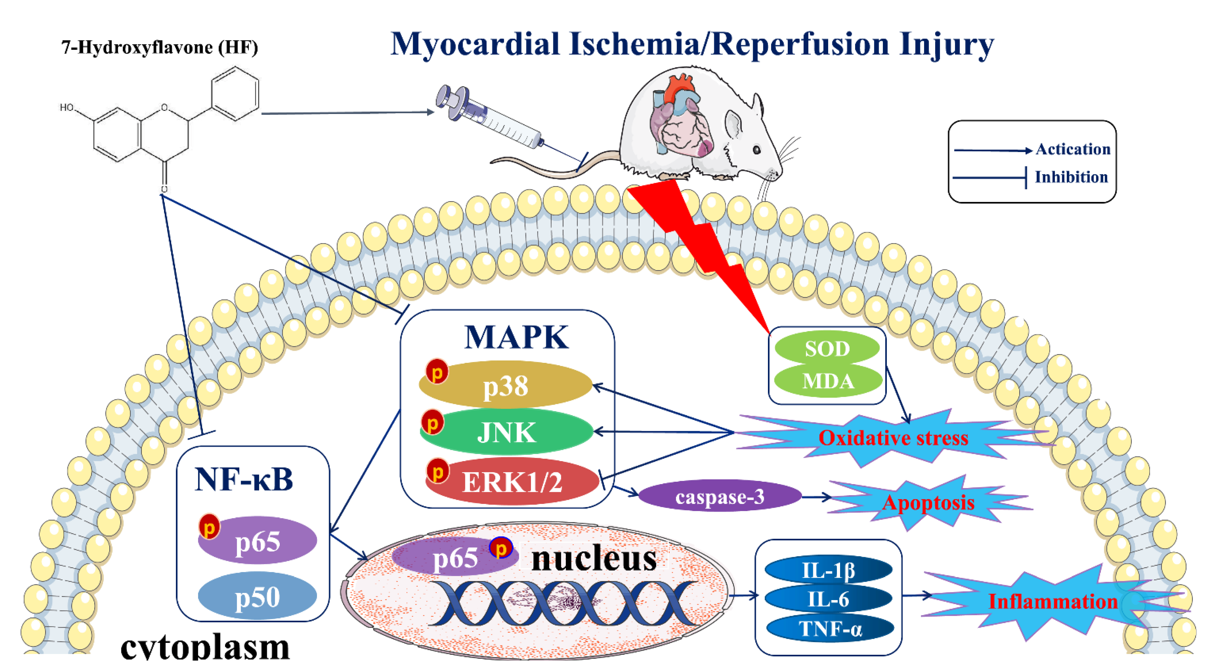 Molecules 27 05371 g011