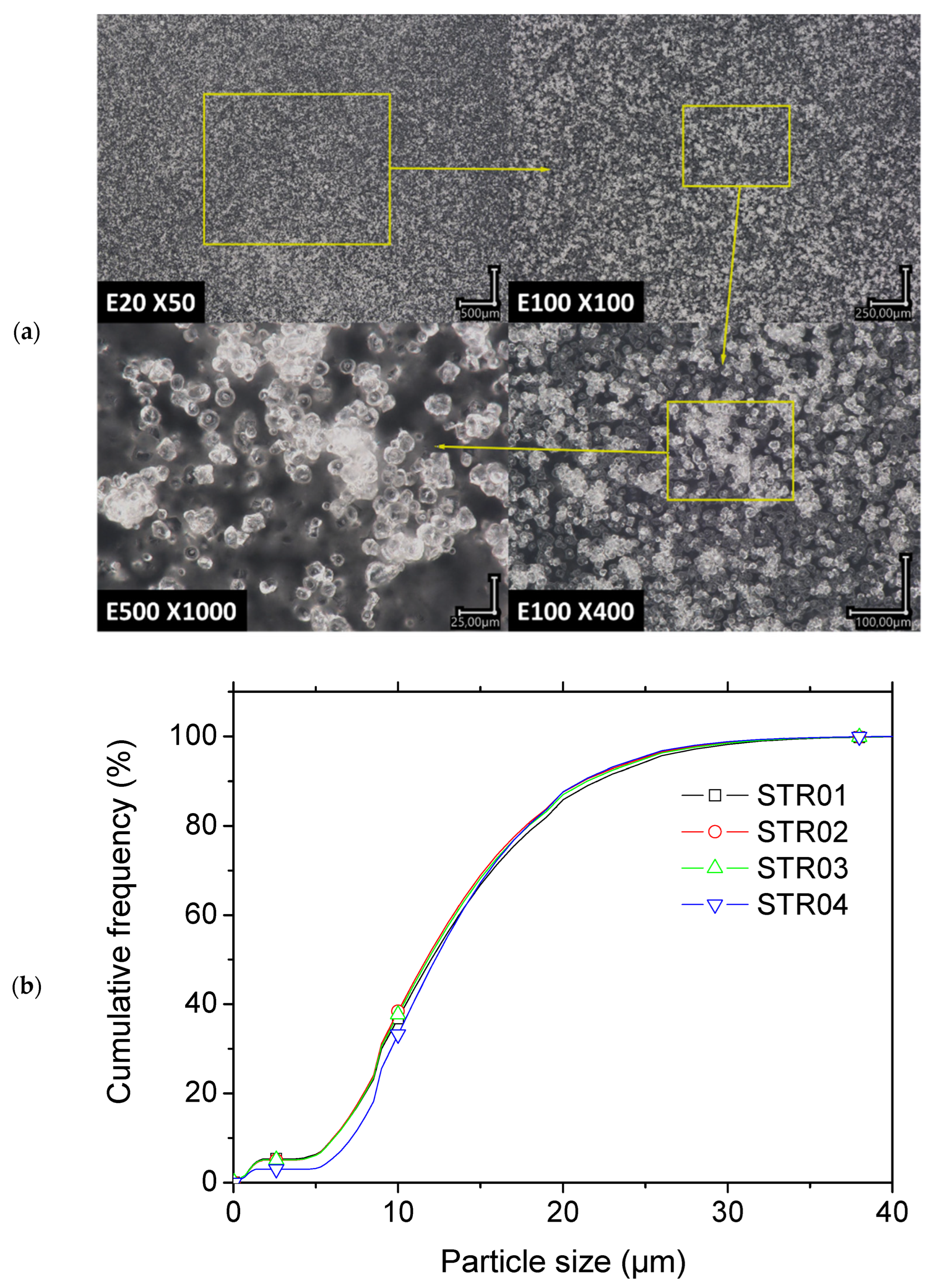 Molecules 27 05375 g004a