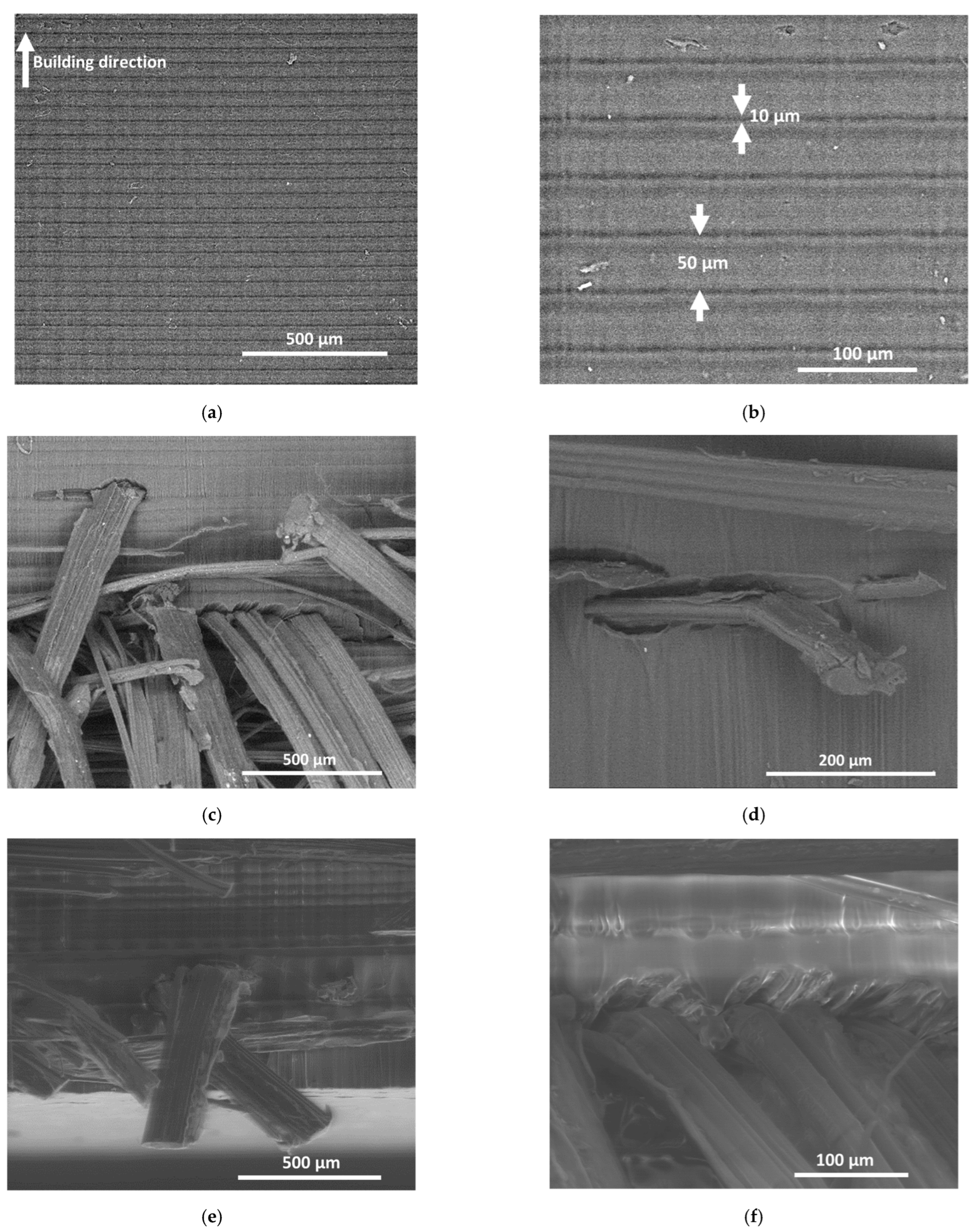 Molecules 27 05375 g010
