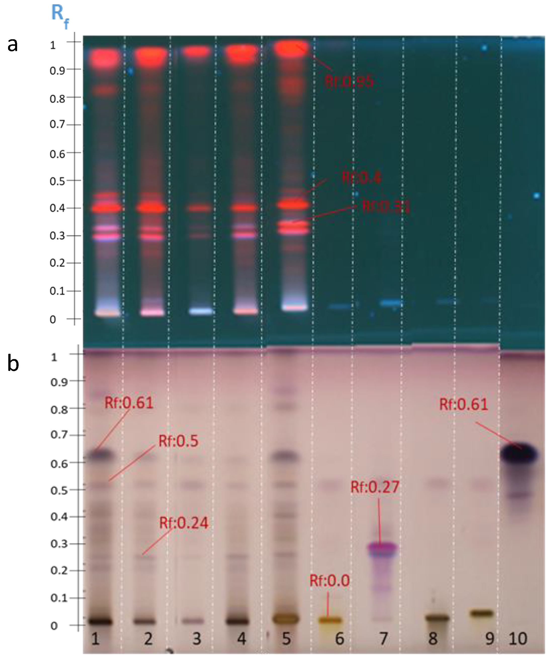 Molecules 27 05376 g003