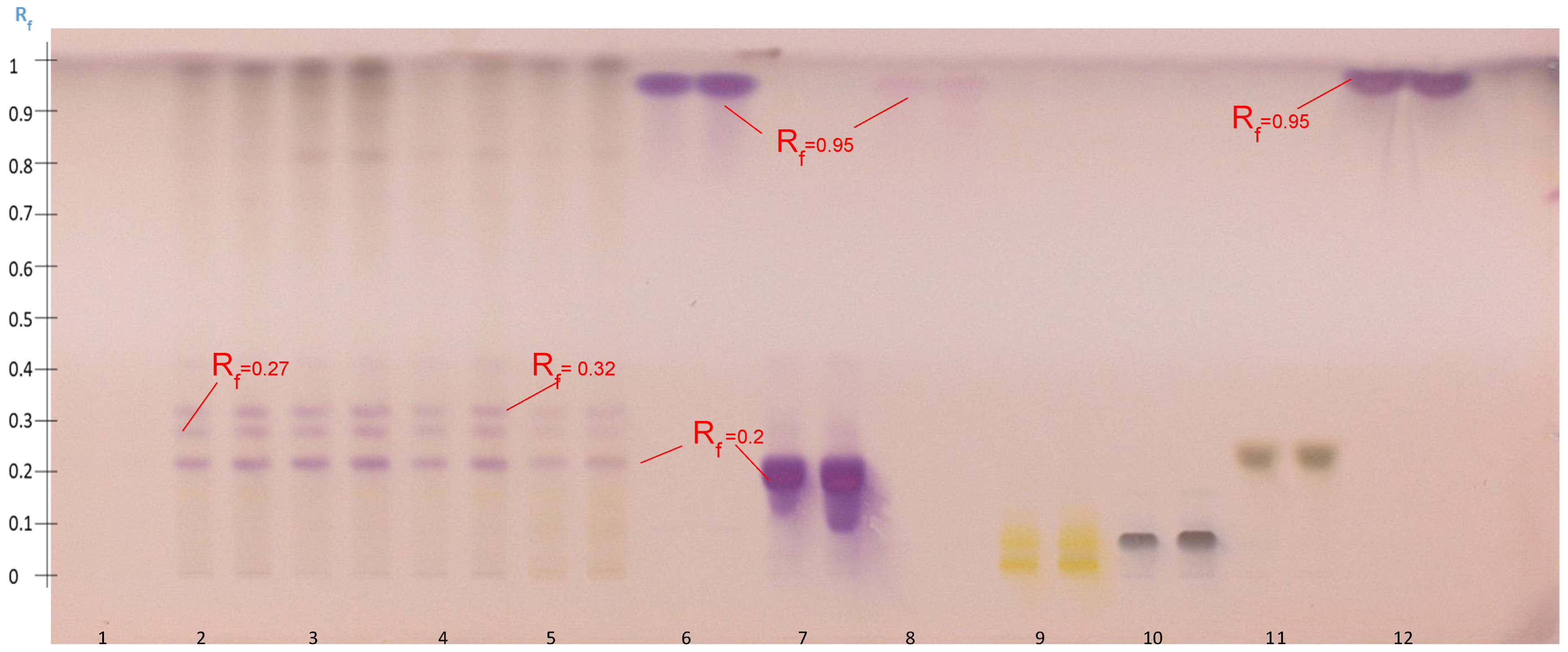Molecules 27 05376 g007
