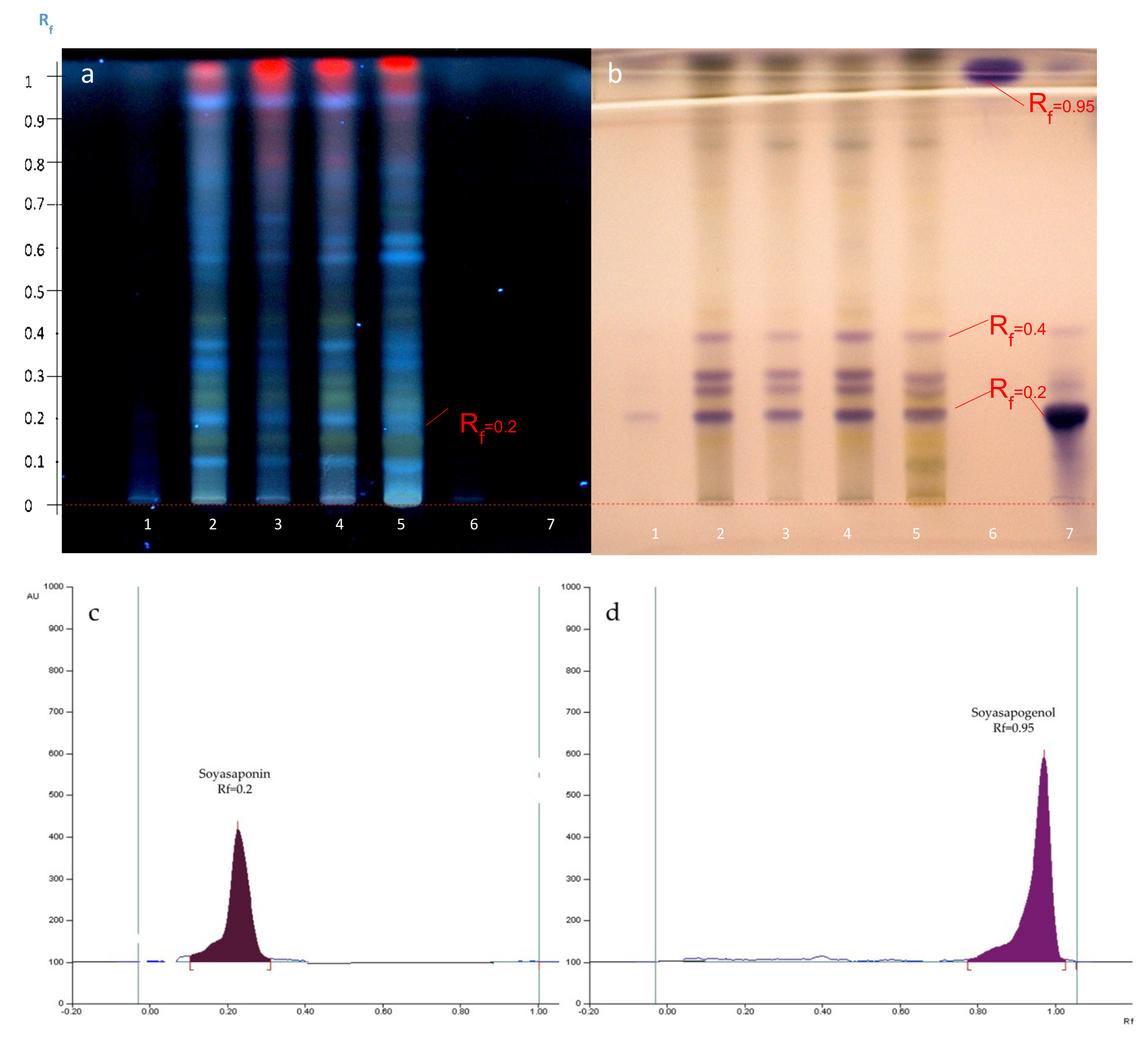 Molecules 27 05376 g008