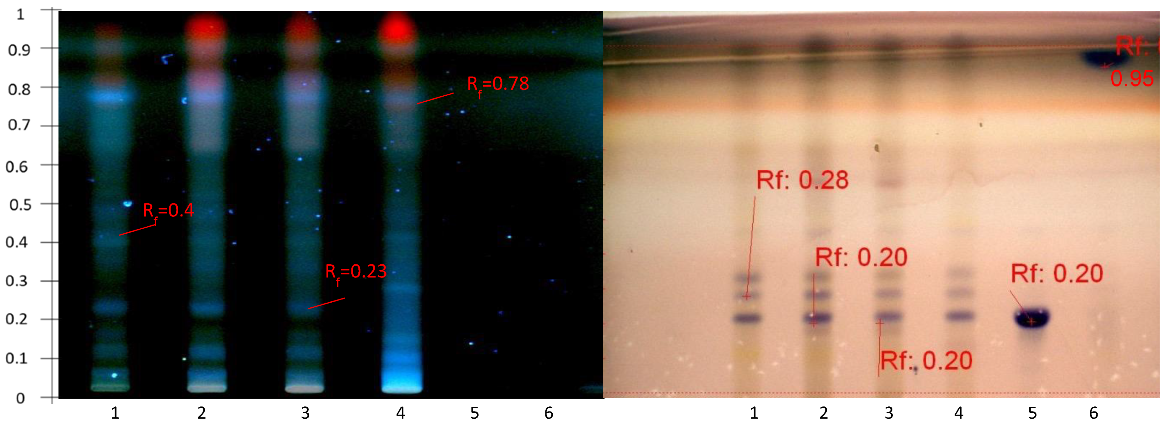 Molecules 27 05376 g009