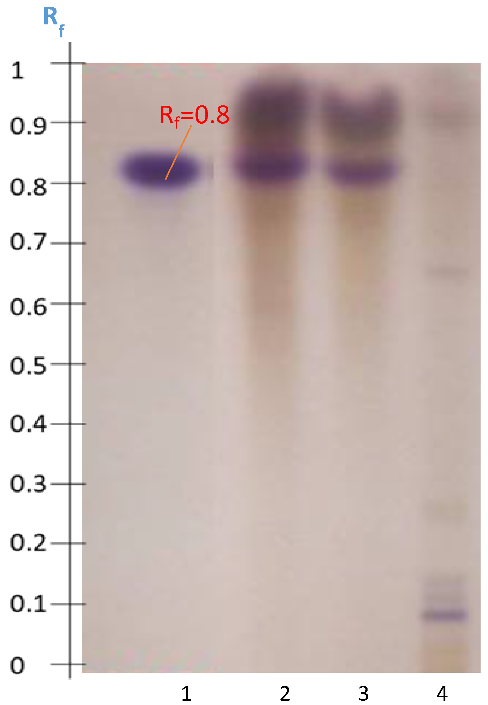 Molecules 27 05376 g010