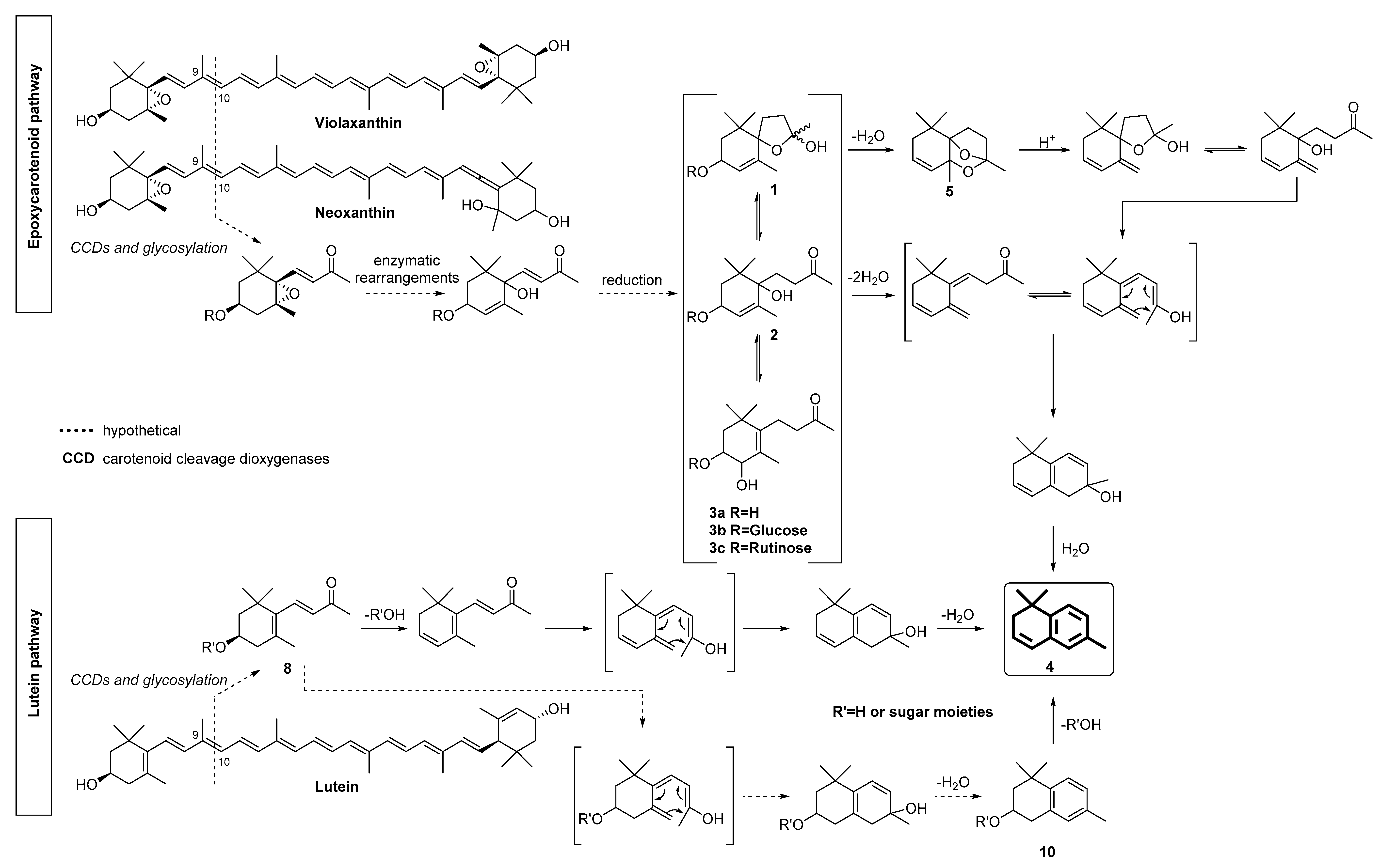 Molecules 27 05378 g001