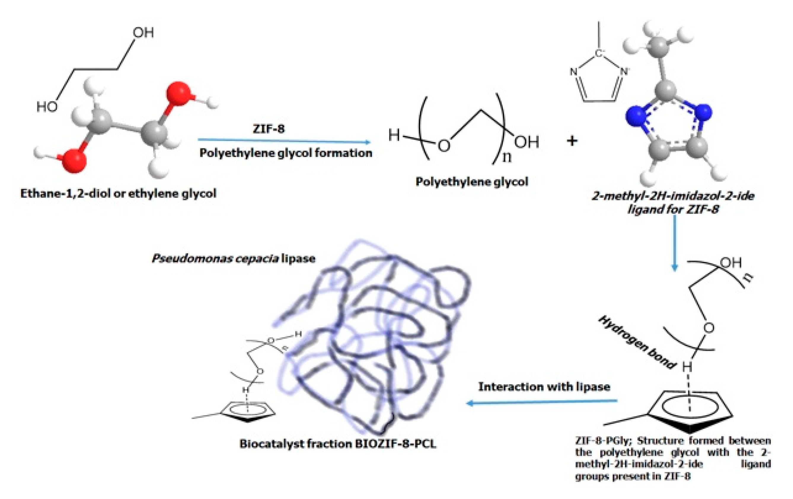 Molecules 27 05396 g010