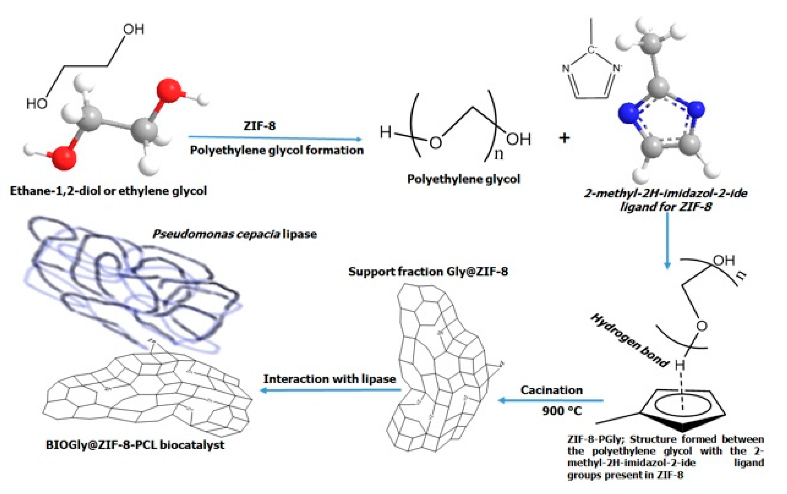 Molecules 27 05396 g011