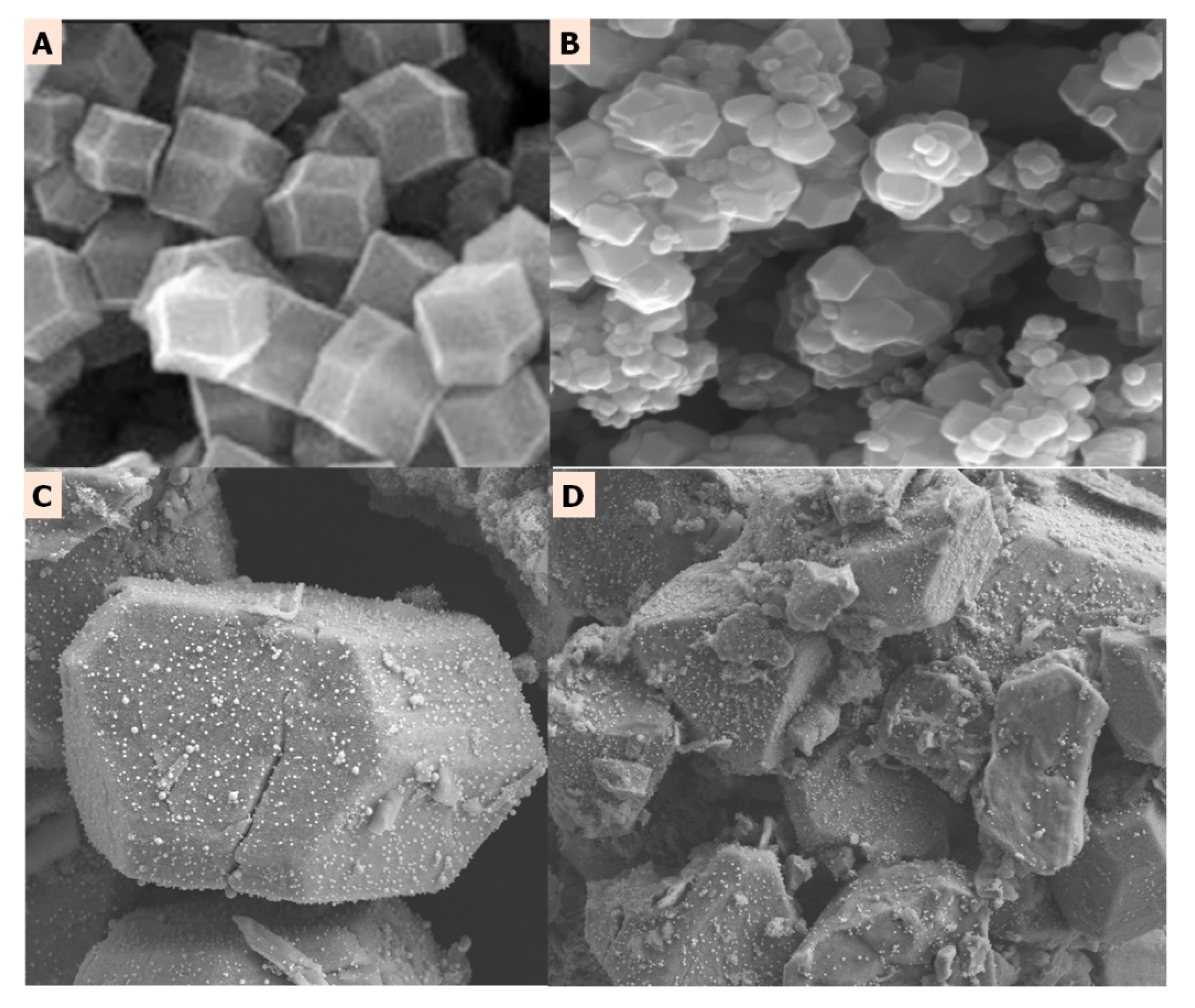 Molecules 27 05396 g012