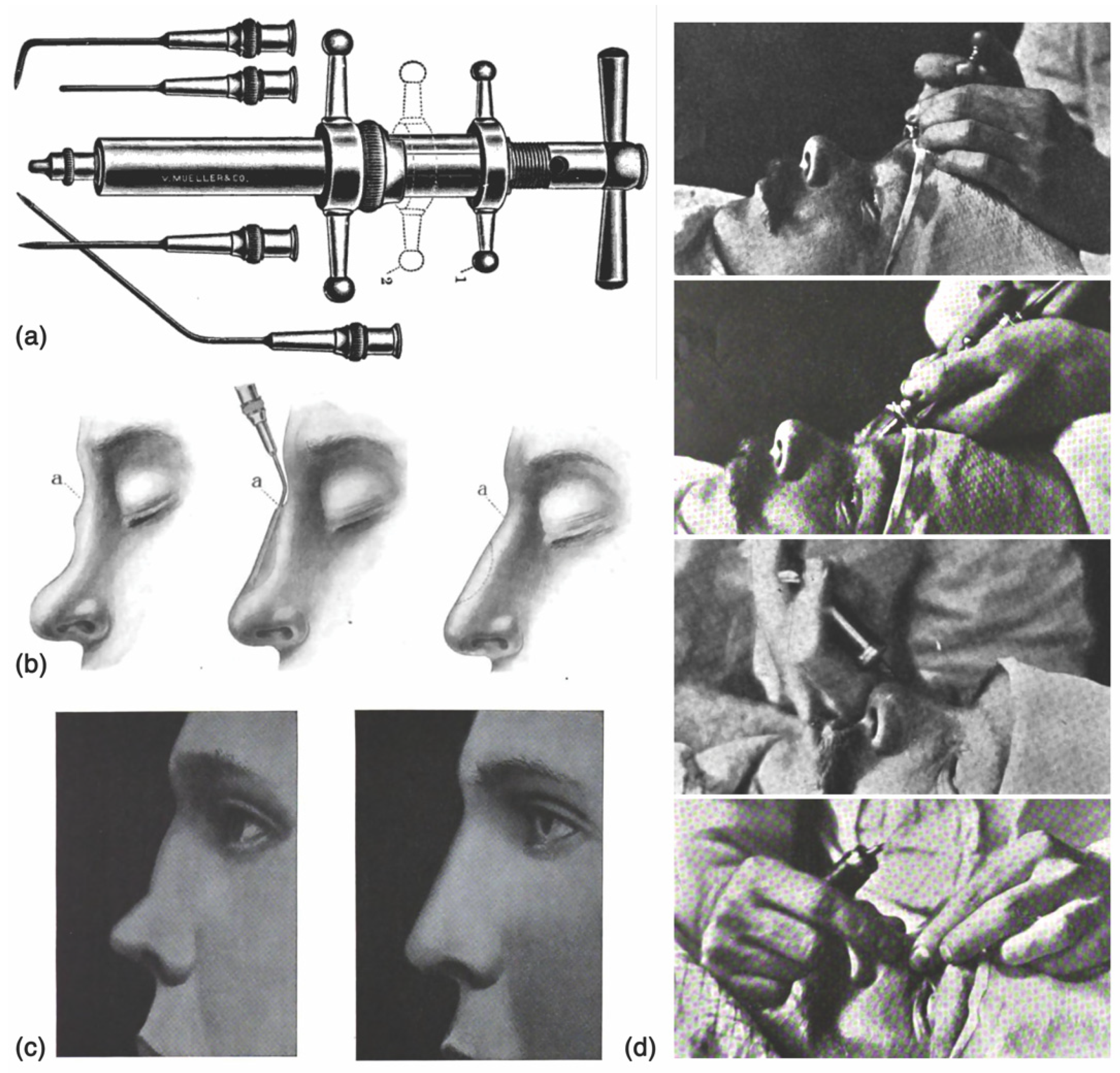 Molecules 27 05398 g001 Molecules 27 05398 g001