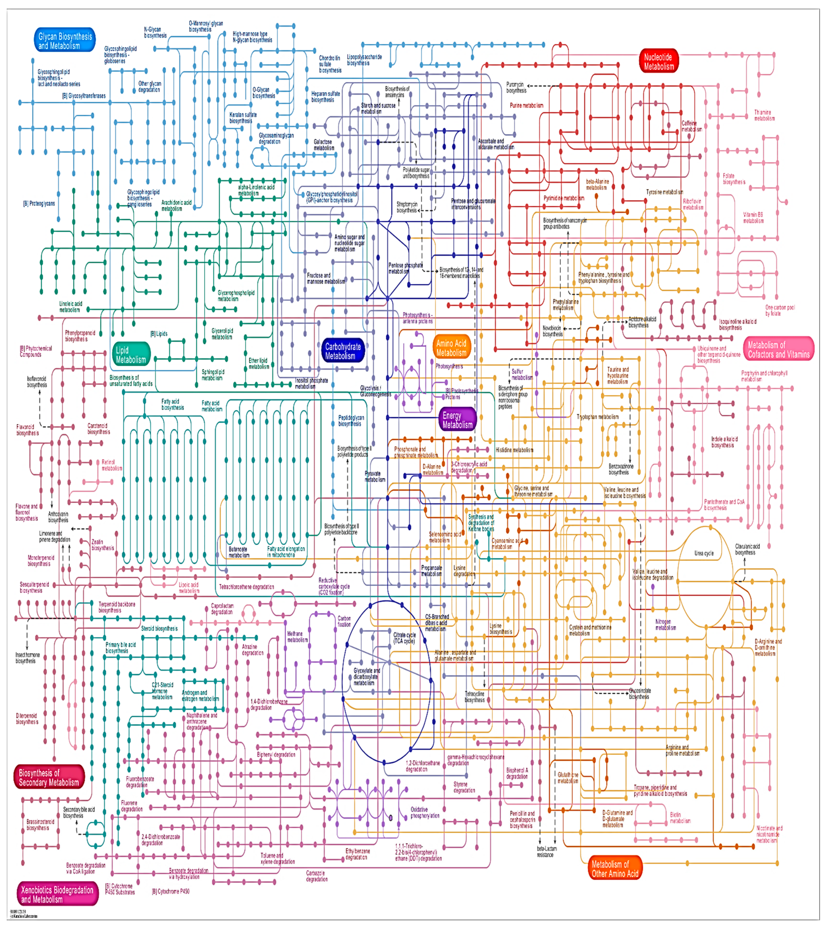 Molecules 27 05399 g003