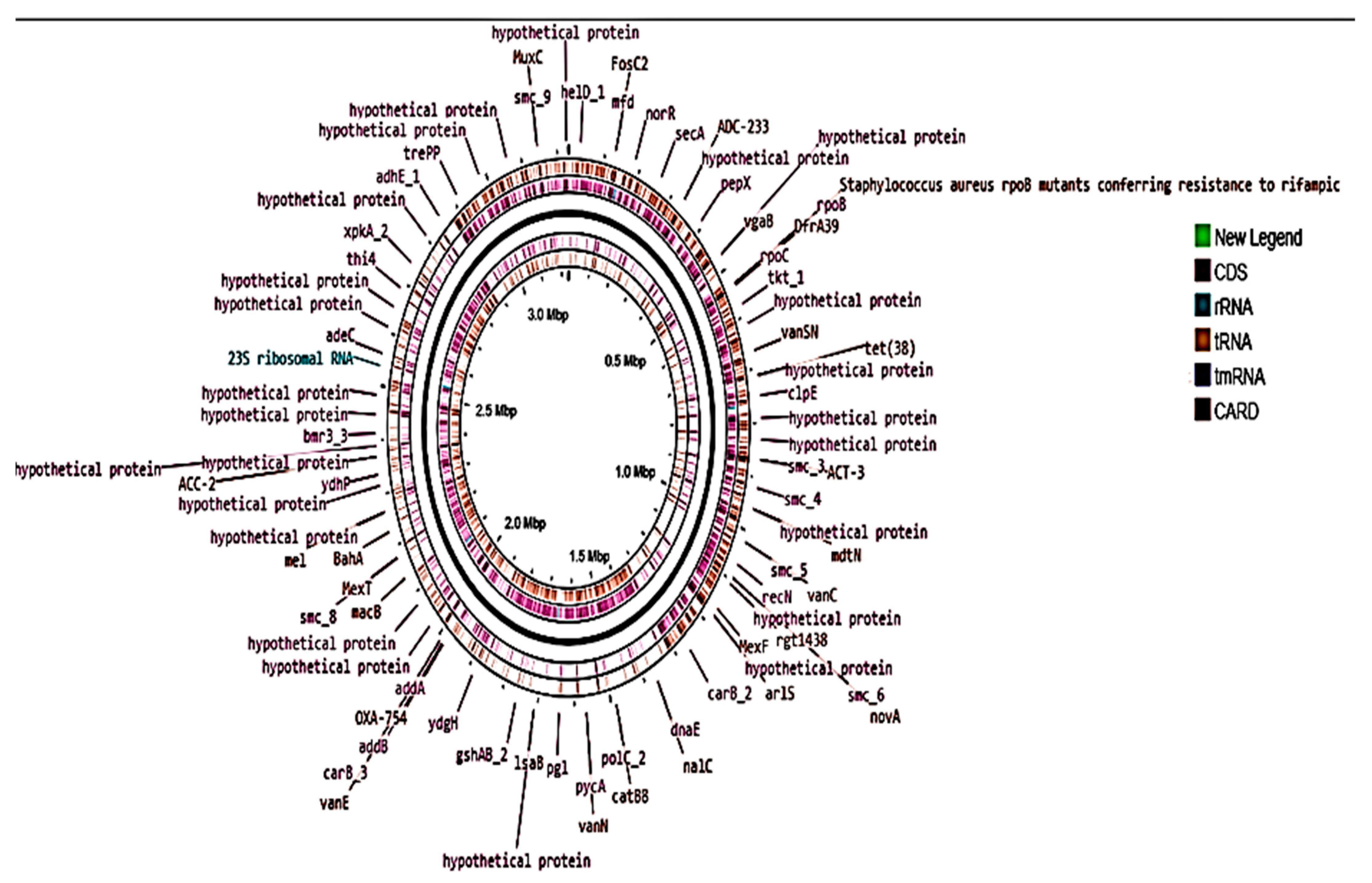 Molecules 27 05399 g006