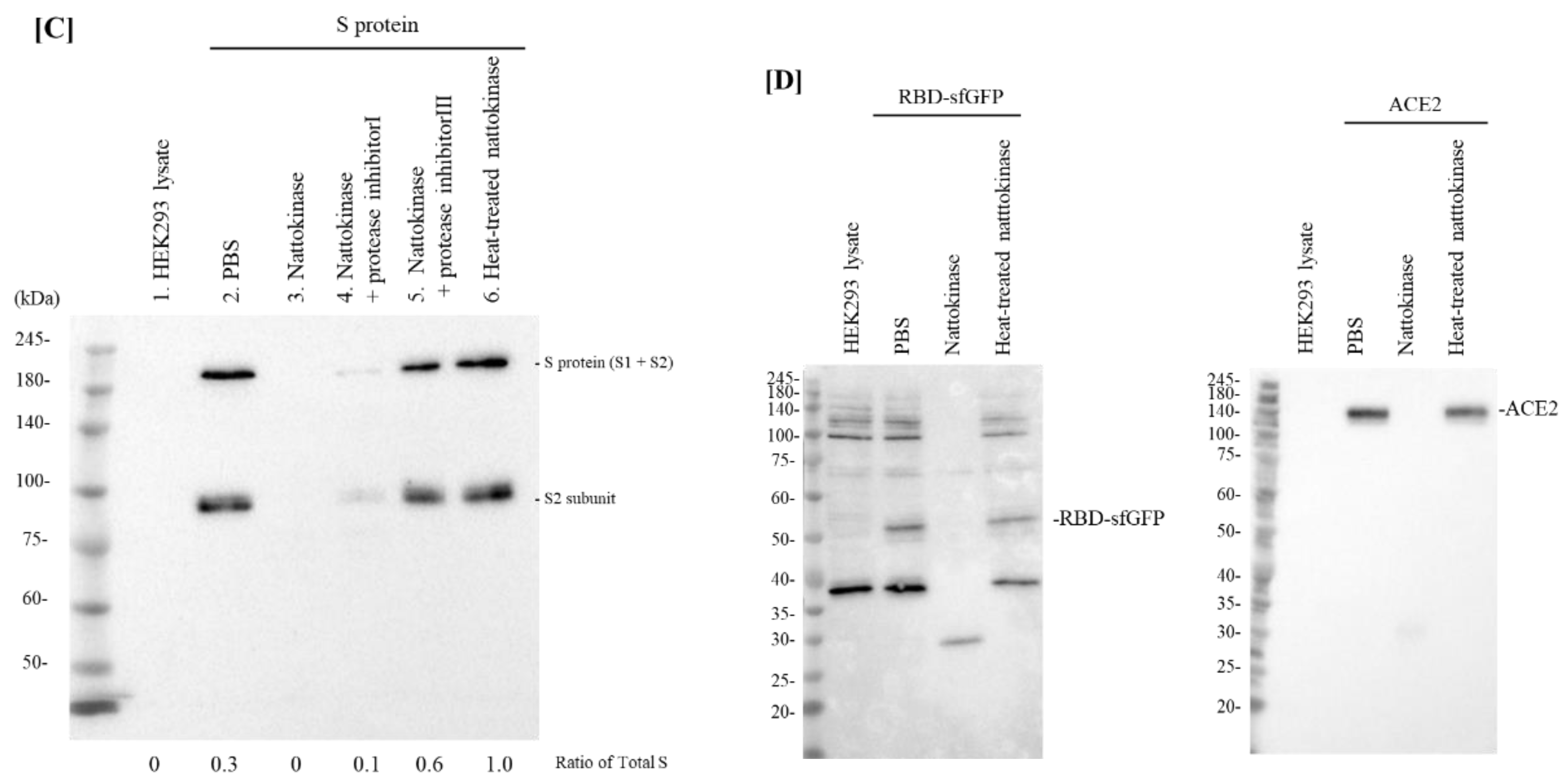 Molecules 27 05405 g001b