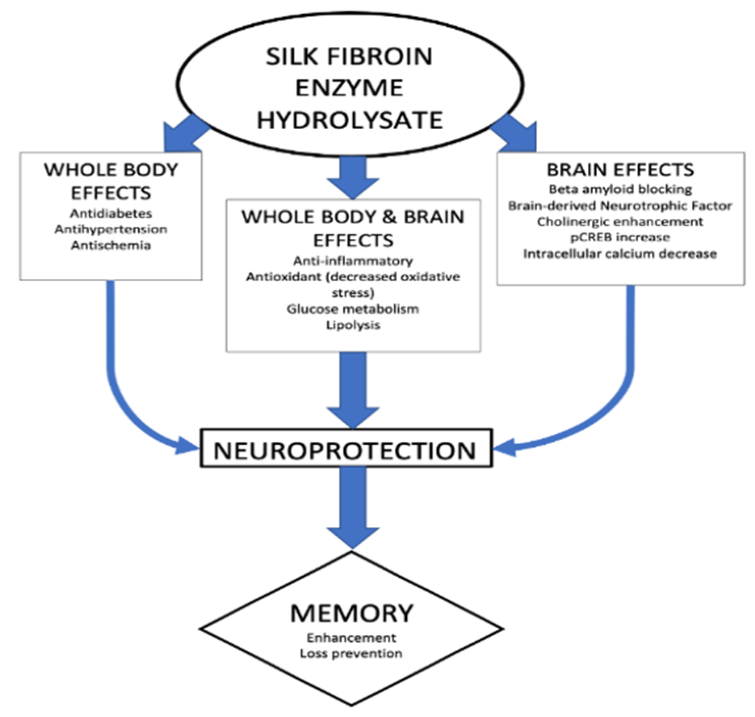 Molecules 27 05407 g001