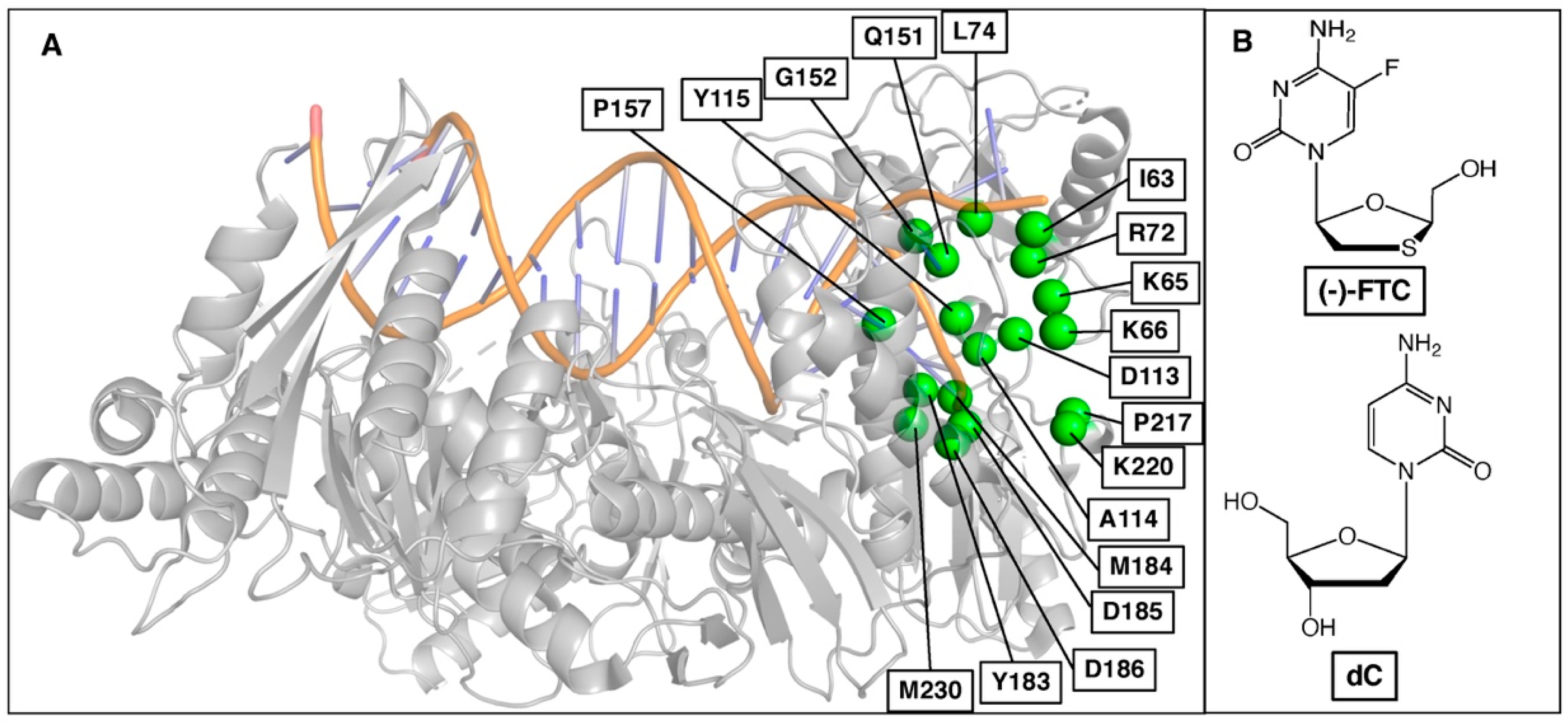 Molecules 27 05413 g002