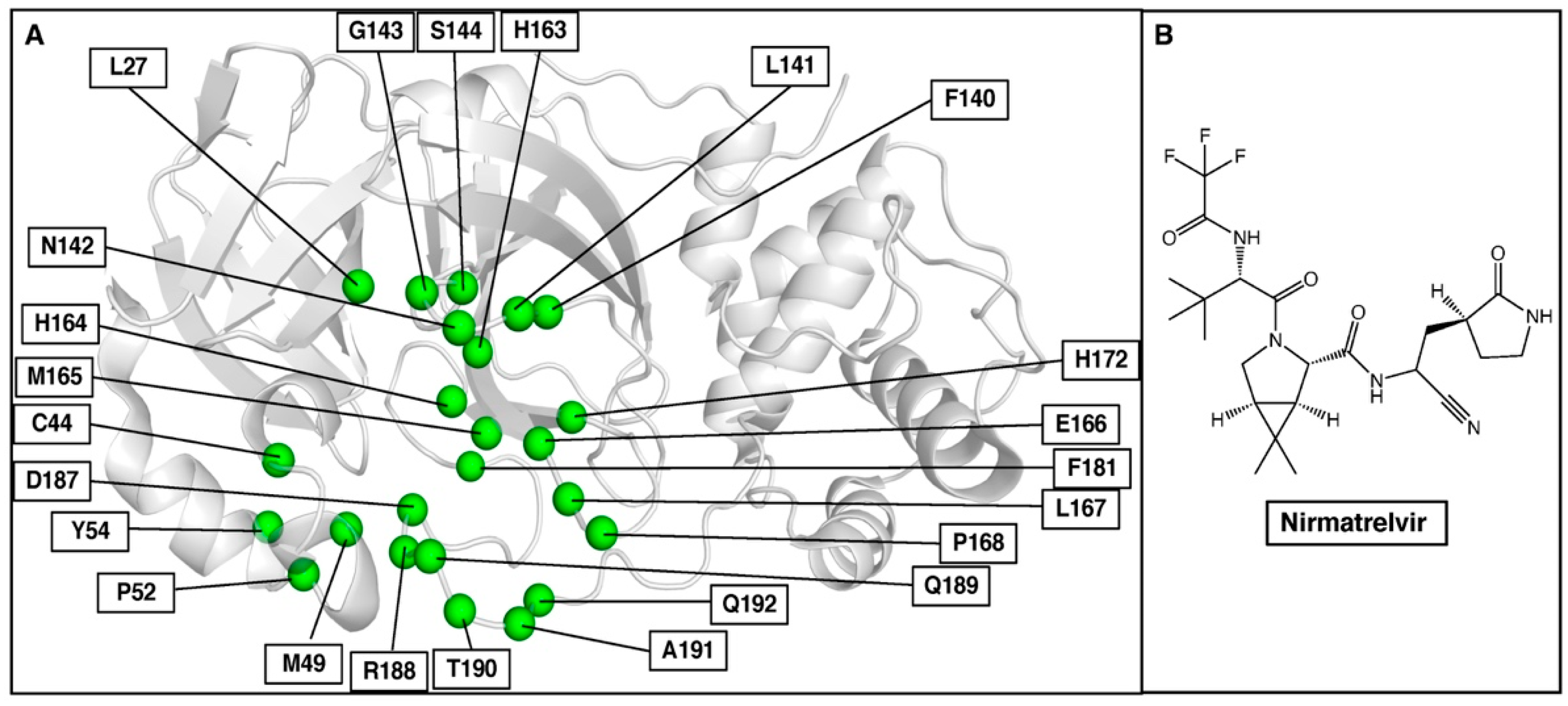 Molecules 27 05413 g006