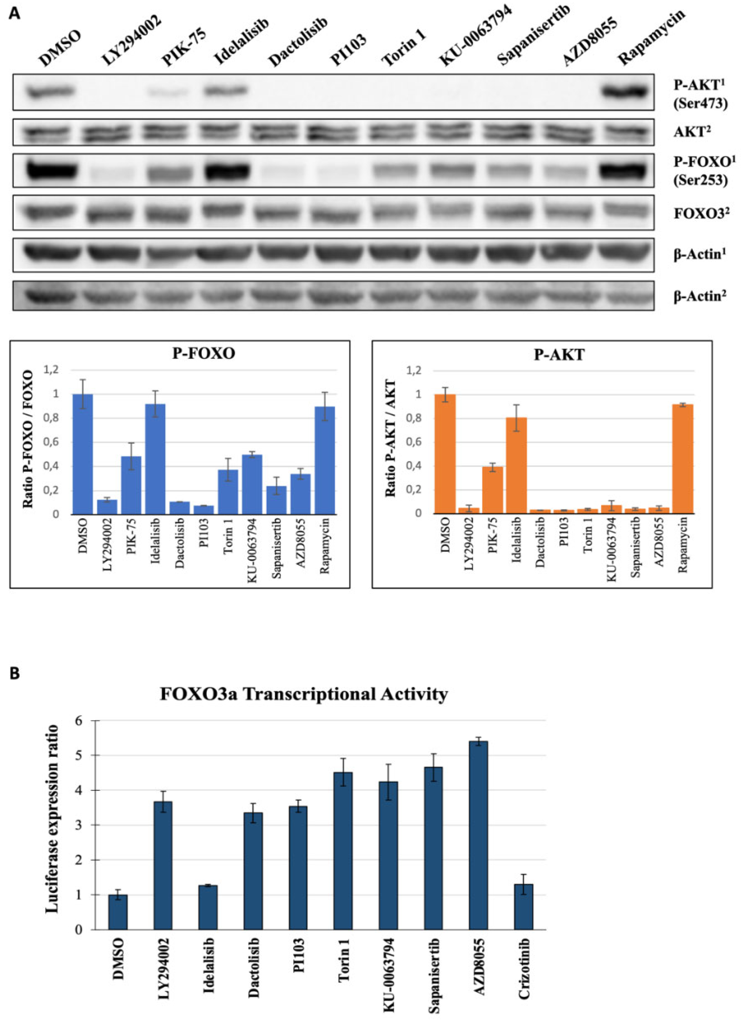 Molecules 27 05414 g005