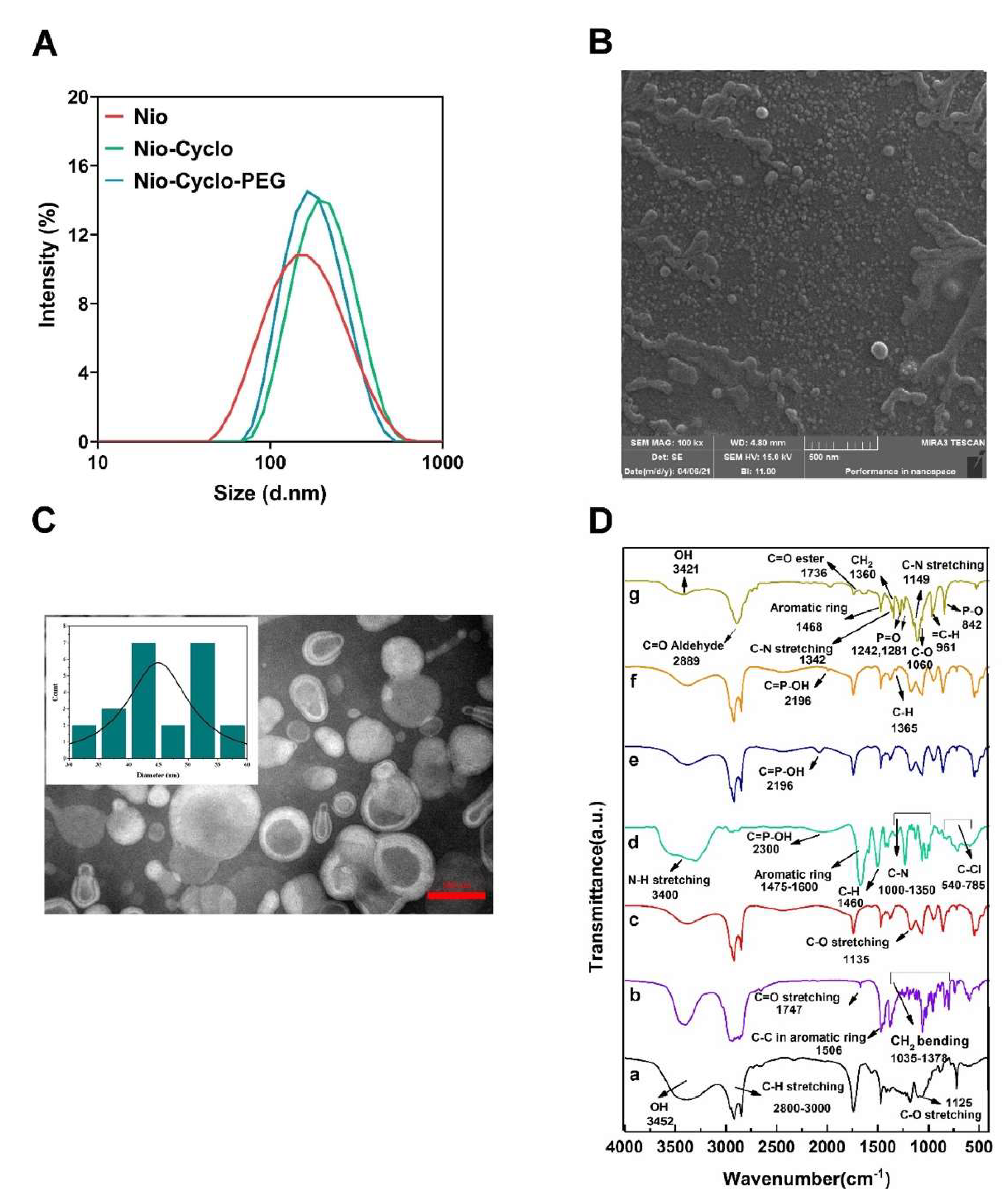 Molecules 27 05418 g002