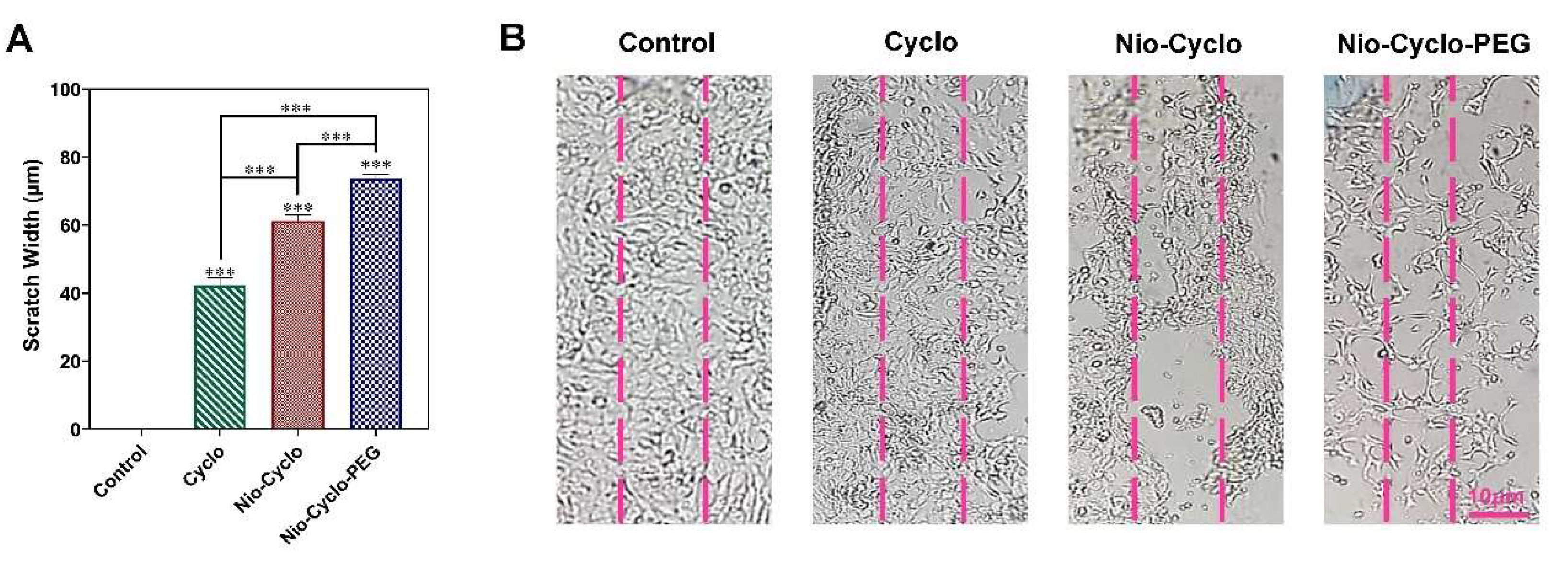 Molecules 27 05418 g008