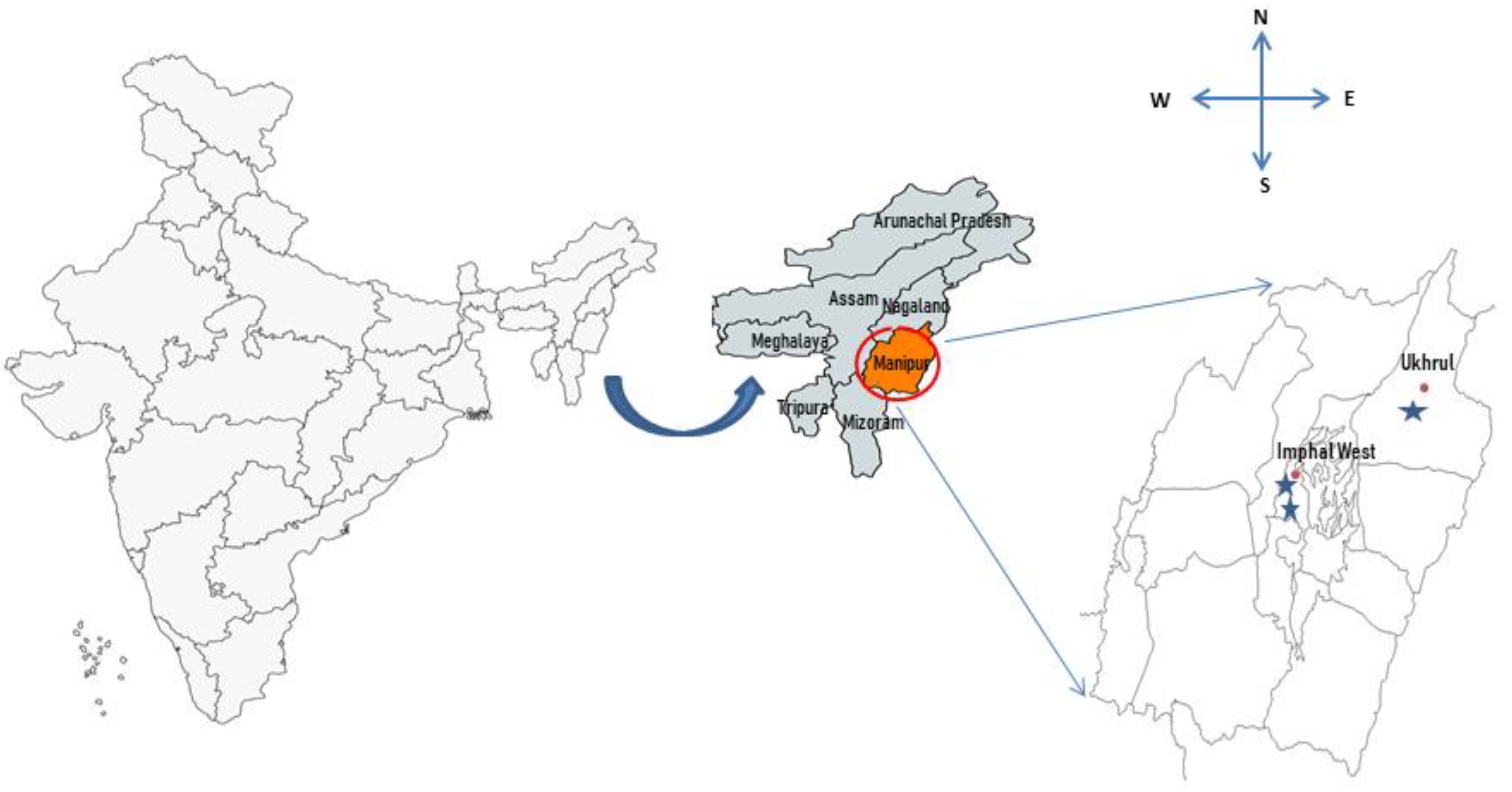 Molecules 27 05423 g003
