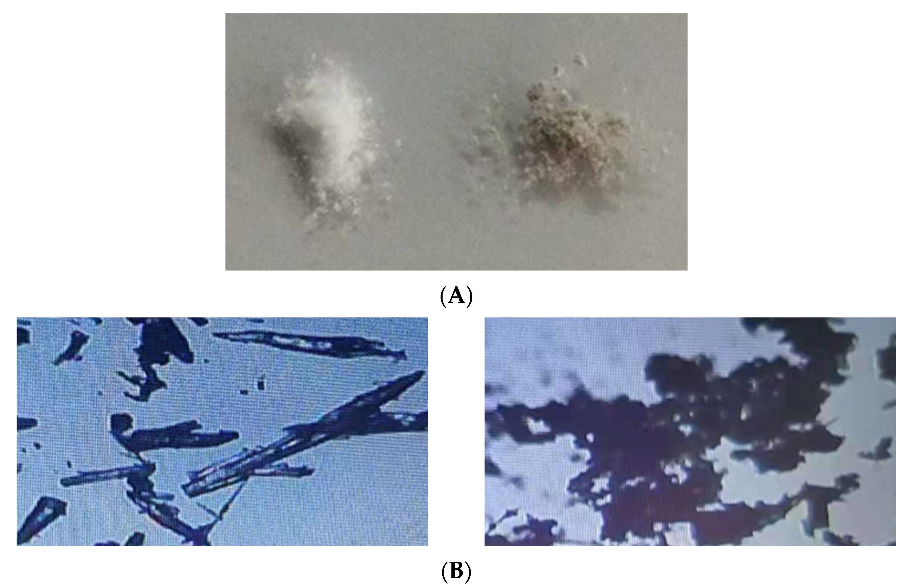 Molecules 27 05427 g004