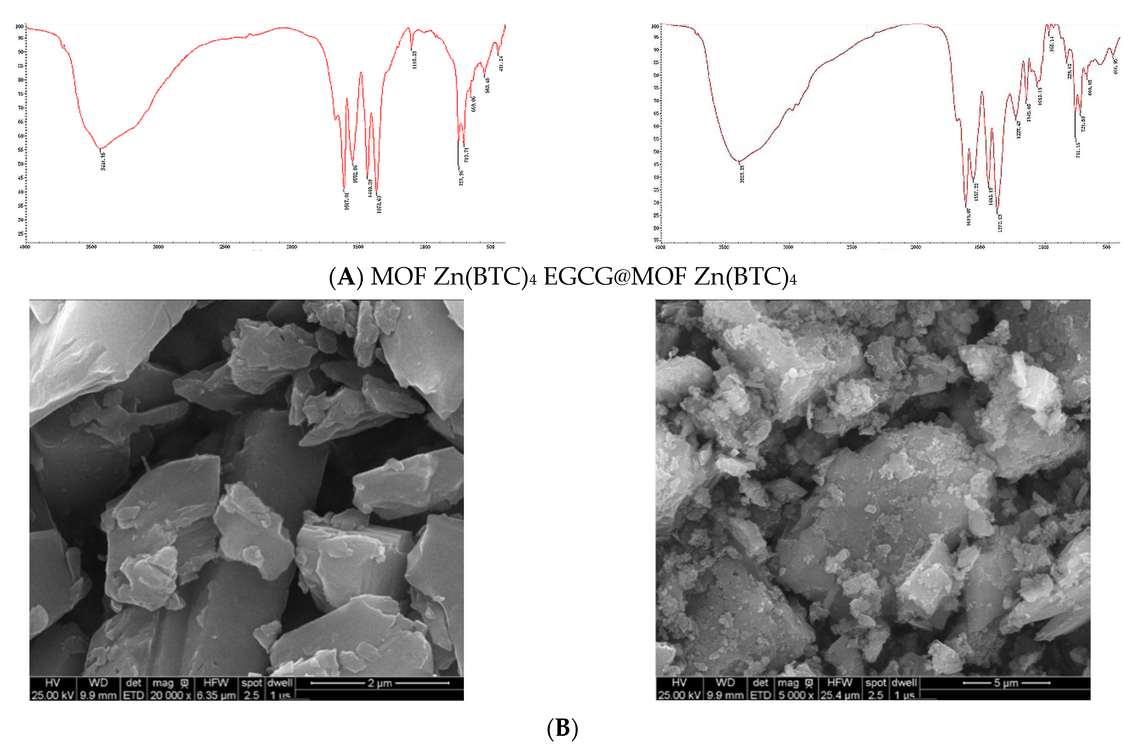 Molecules 27 05427 g005a