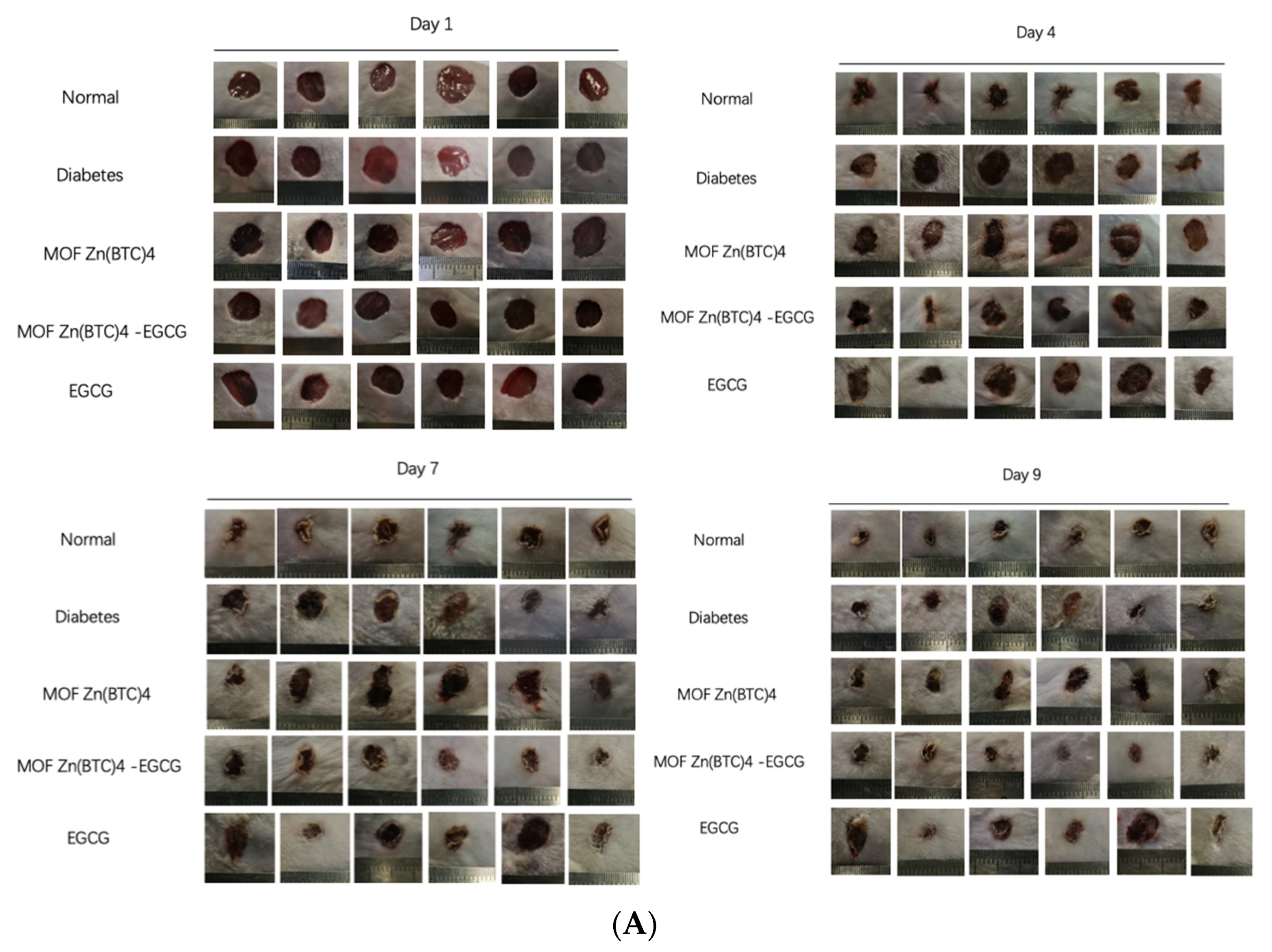 Molecules 27 05427 g008a