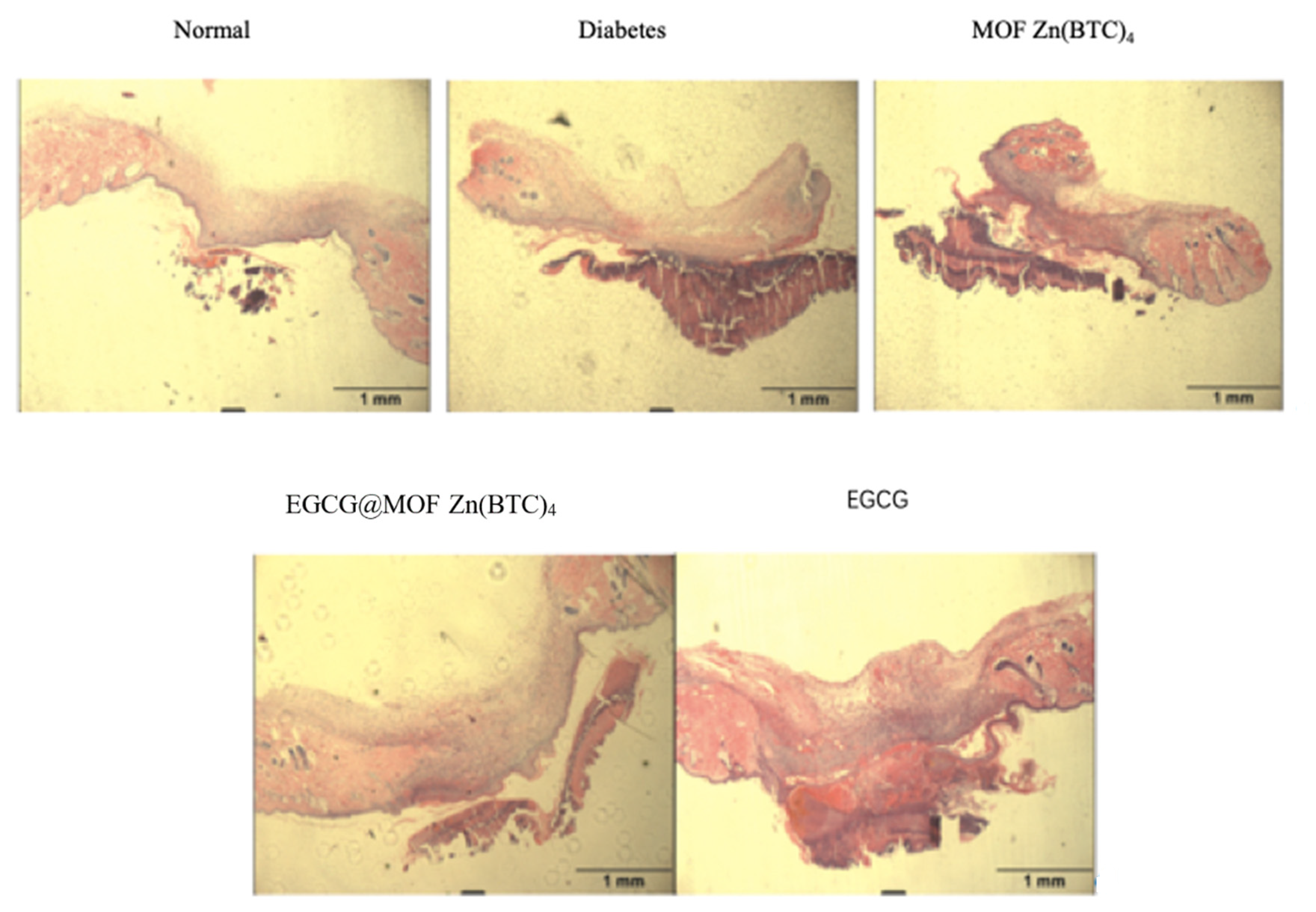 Molecules 27 05427 g010