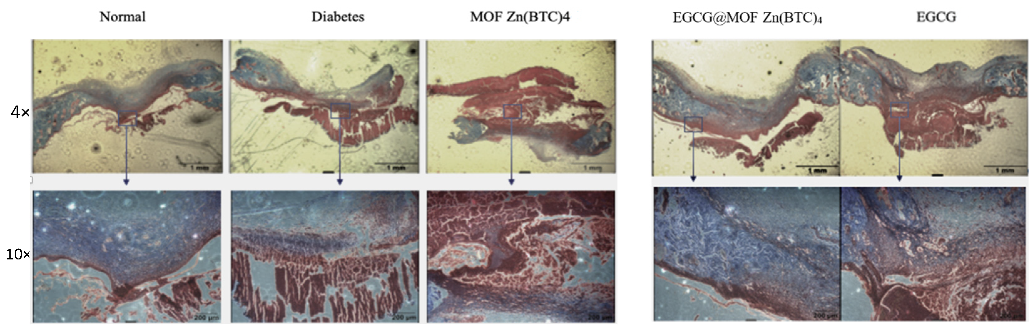 Molecules 27 05427 g011