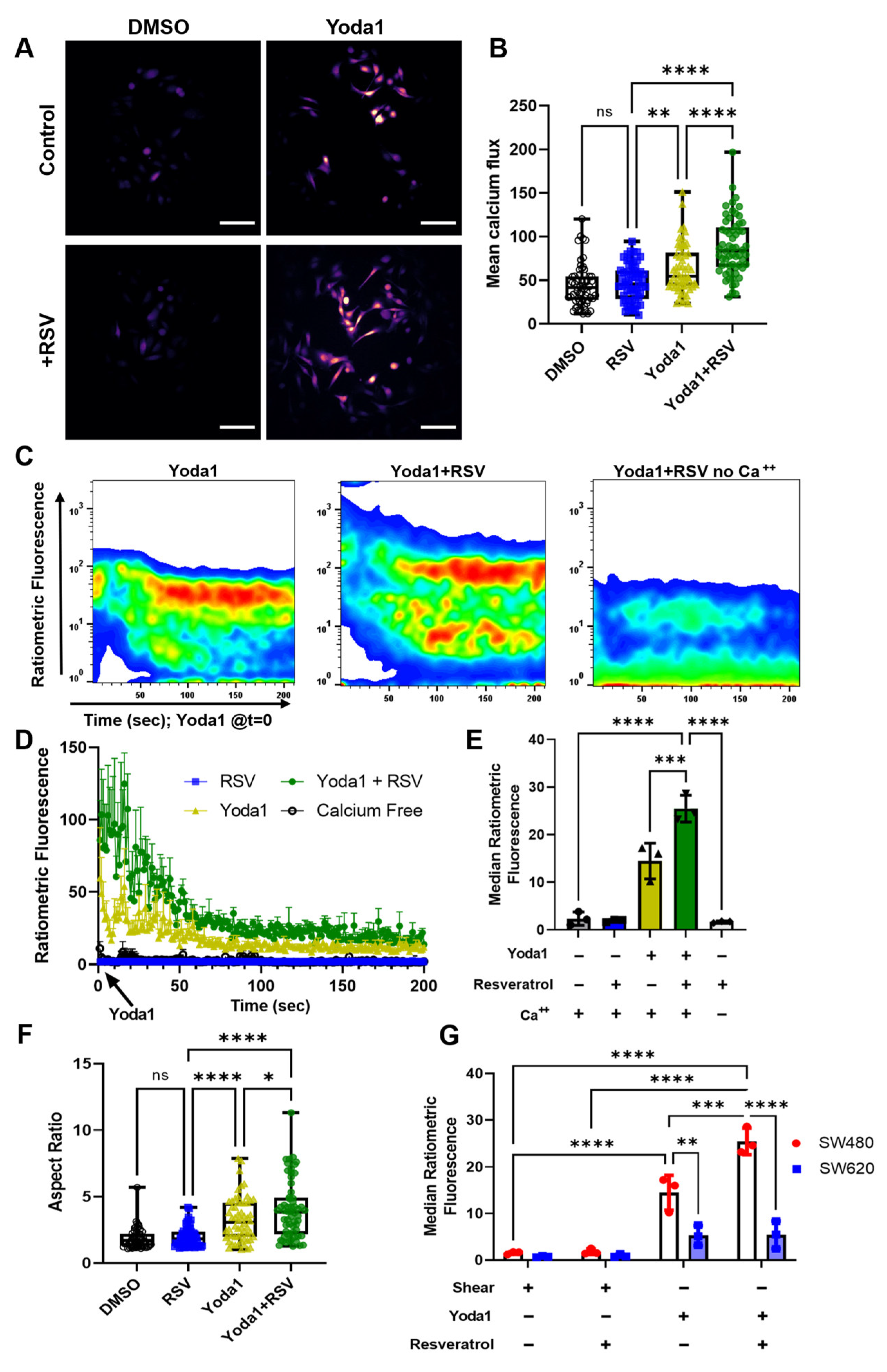 Molecules 27 05430 g006