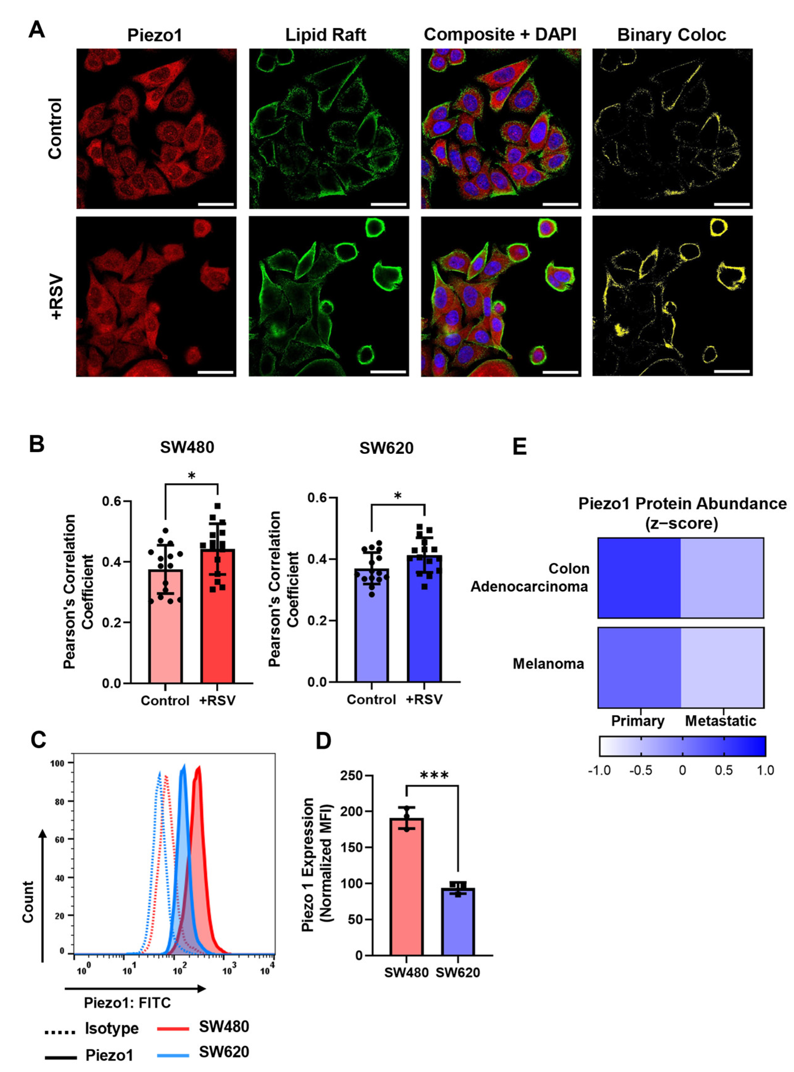 Molecules 27 05430 g007