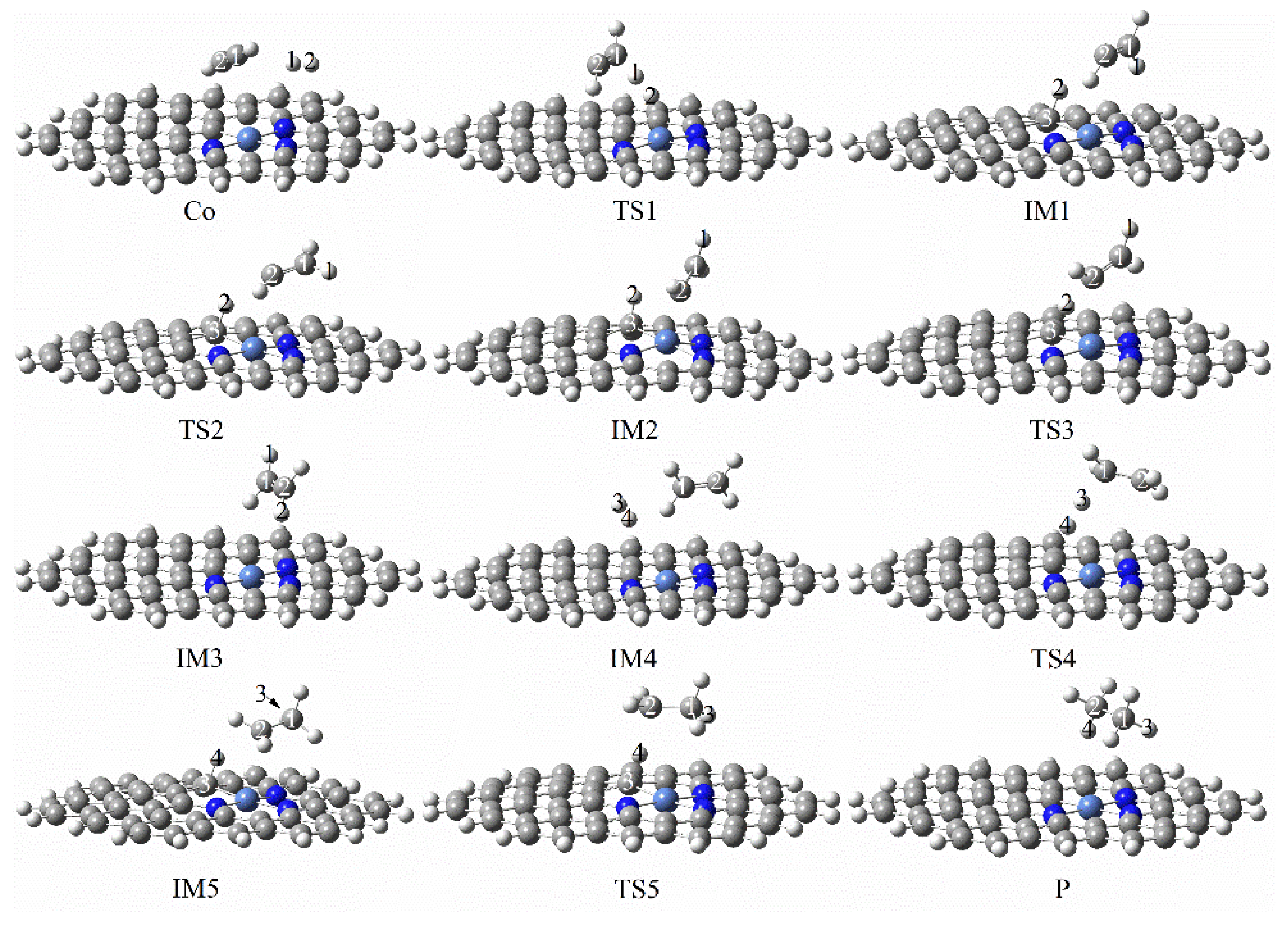 Molecules 27 05437 g013