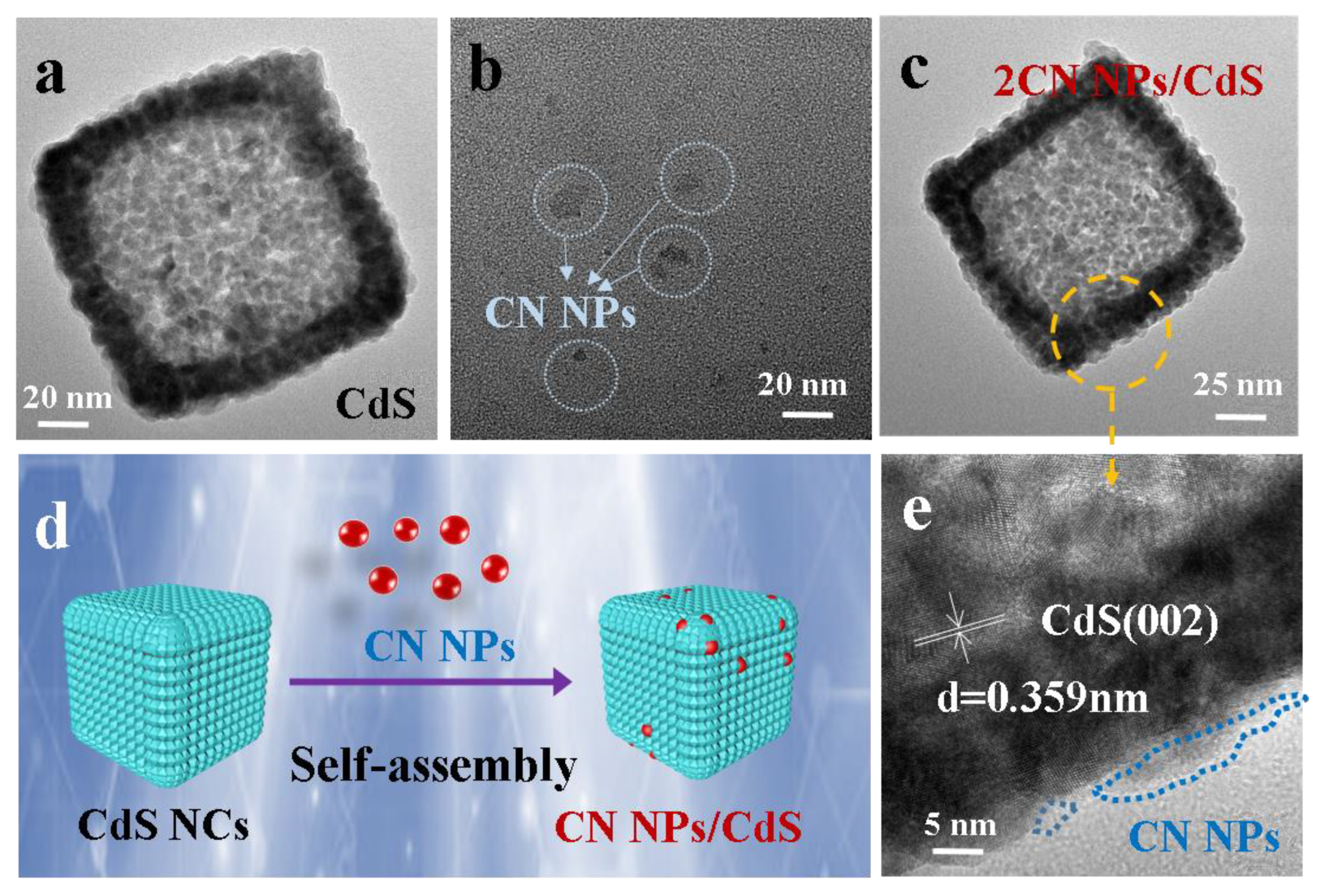 Molecules 27 05438 g004