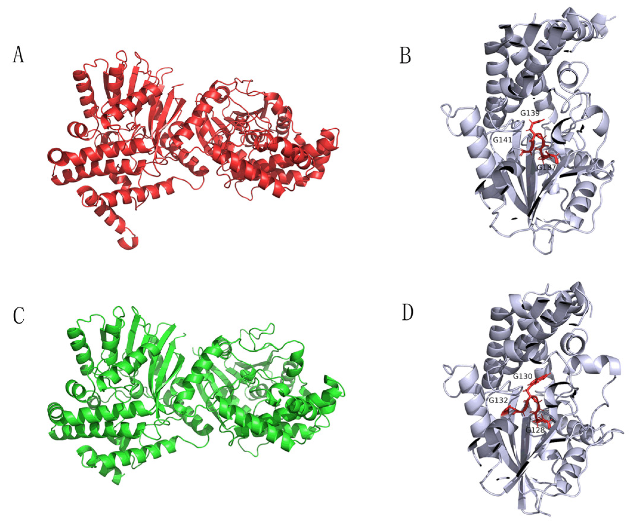 Molecules 27 05442 g007
