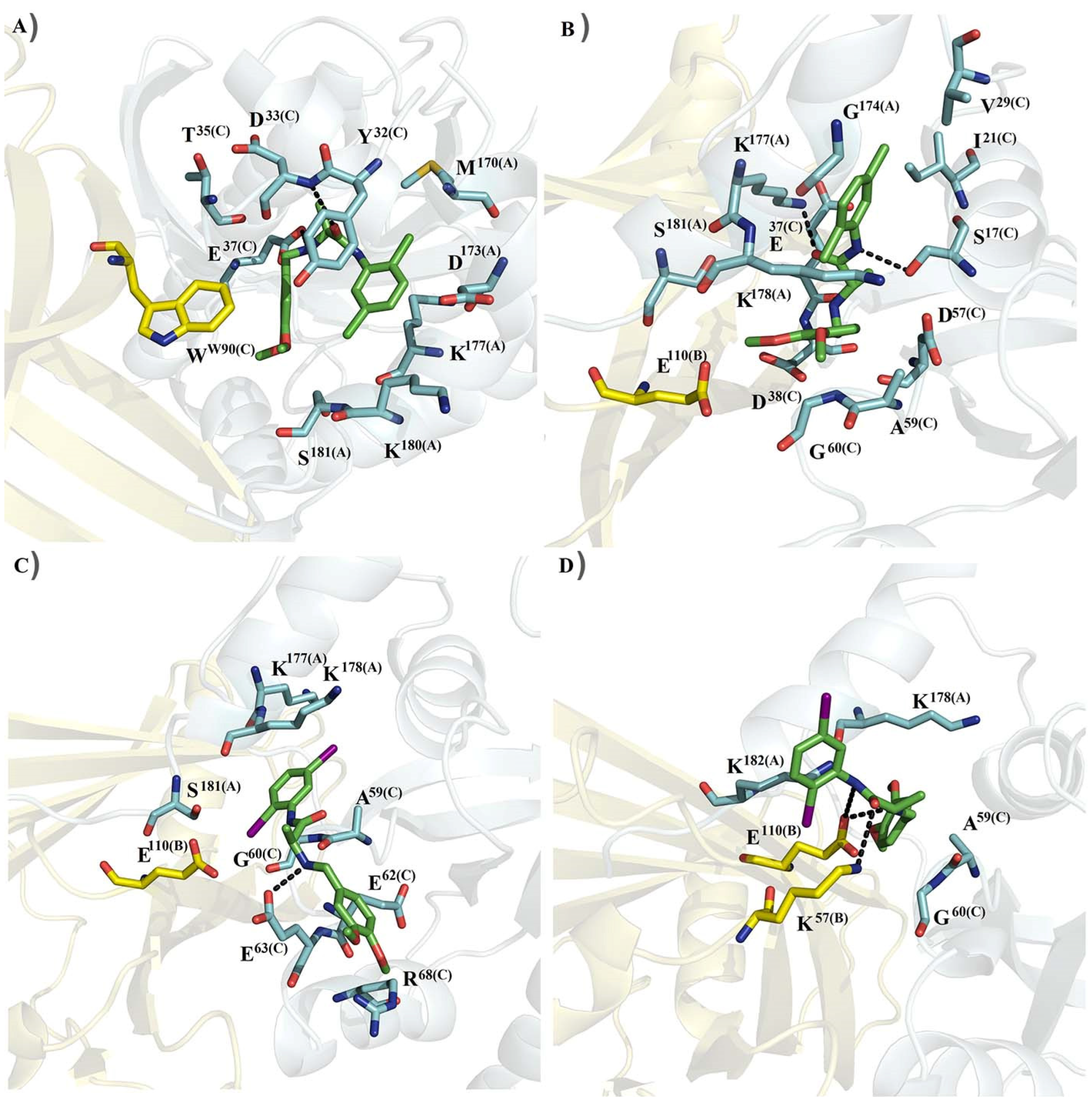Molecules 27 05446 g002 Molecules 27 05446 g002