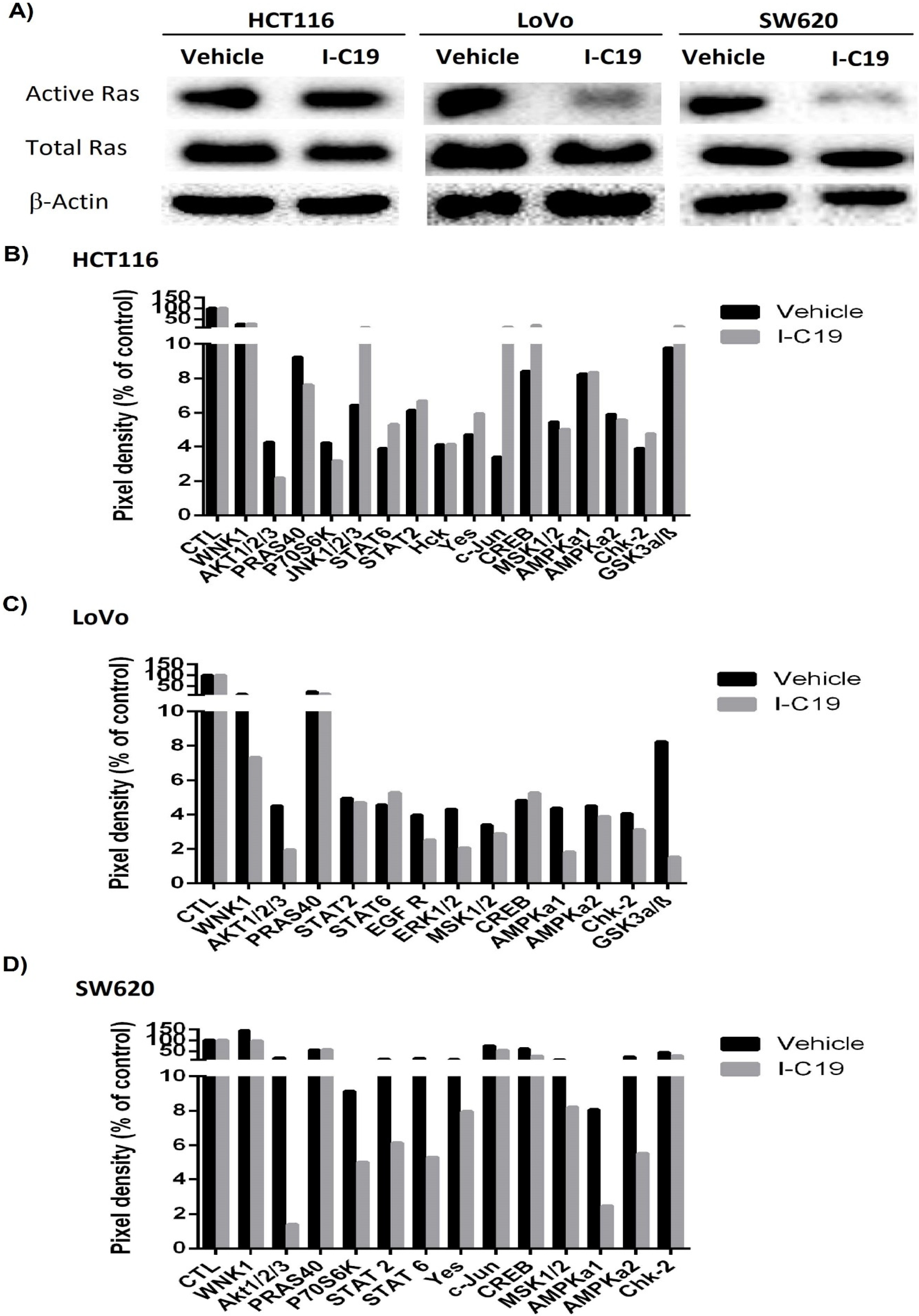 Molecules 27 05446 g006 Molecules 27 05446 g006