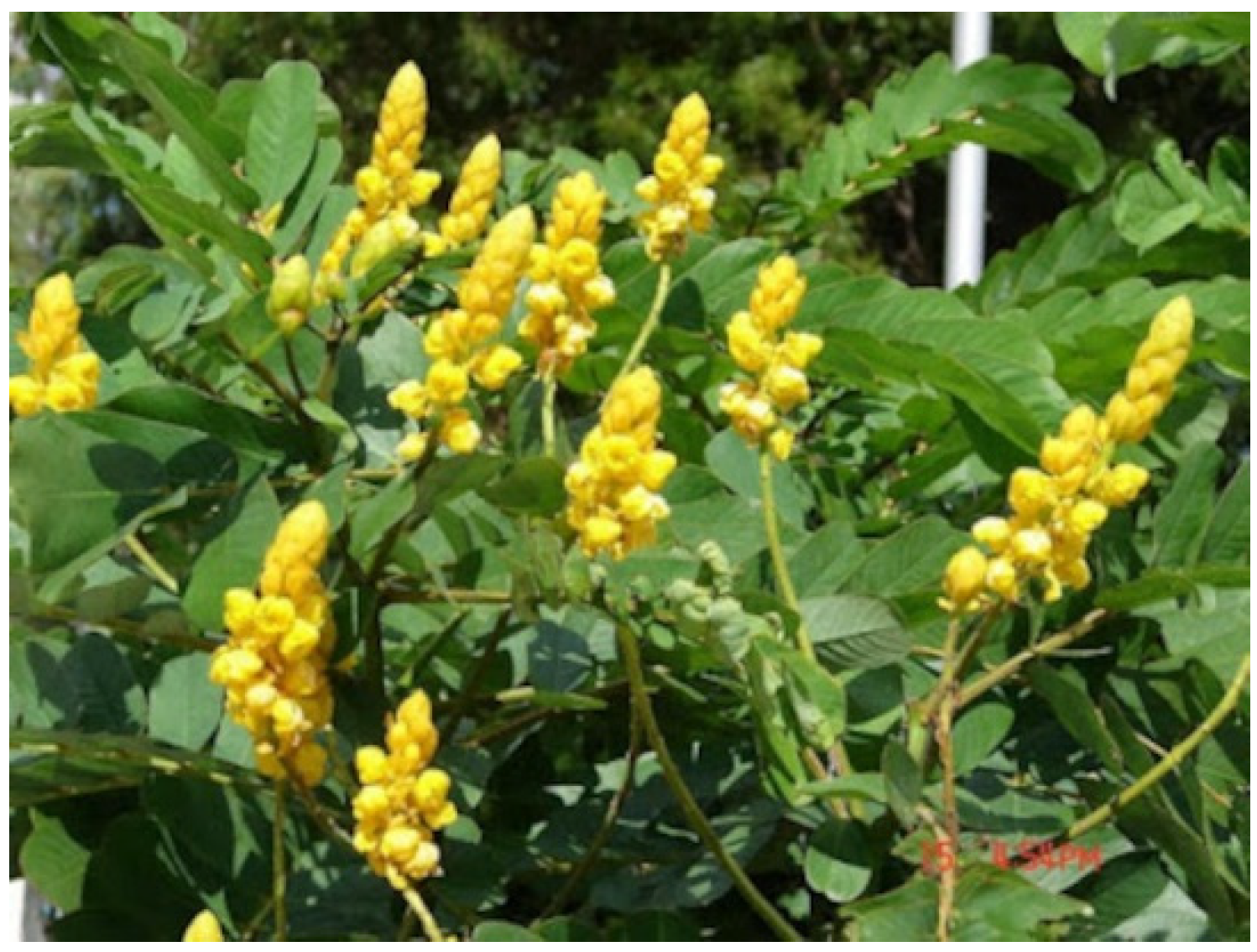 Molecules 27 05475 g001