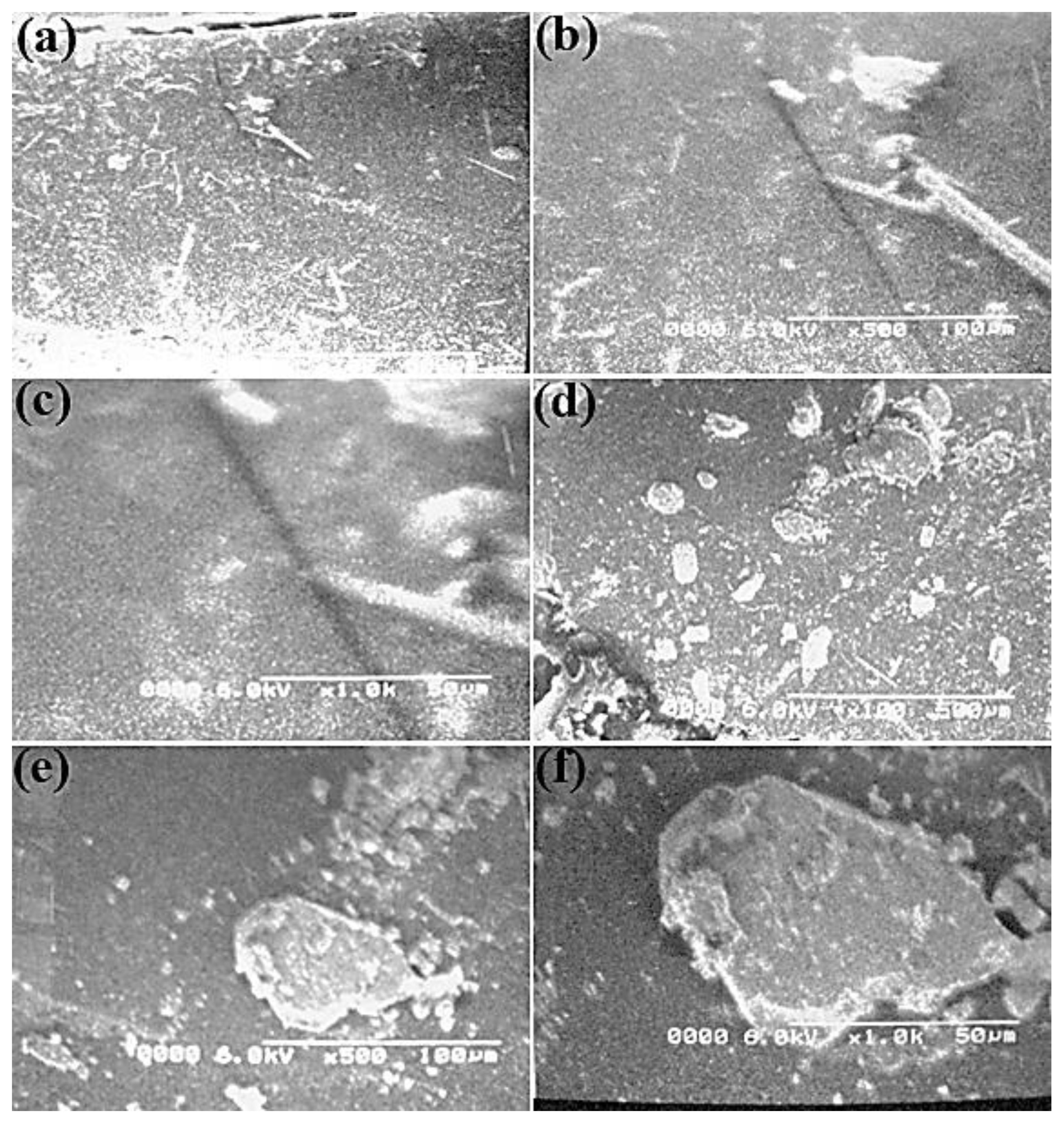 Molecules 27 05477 g004