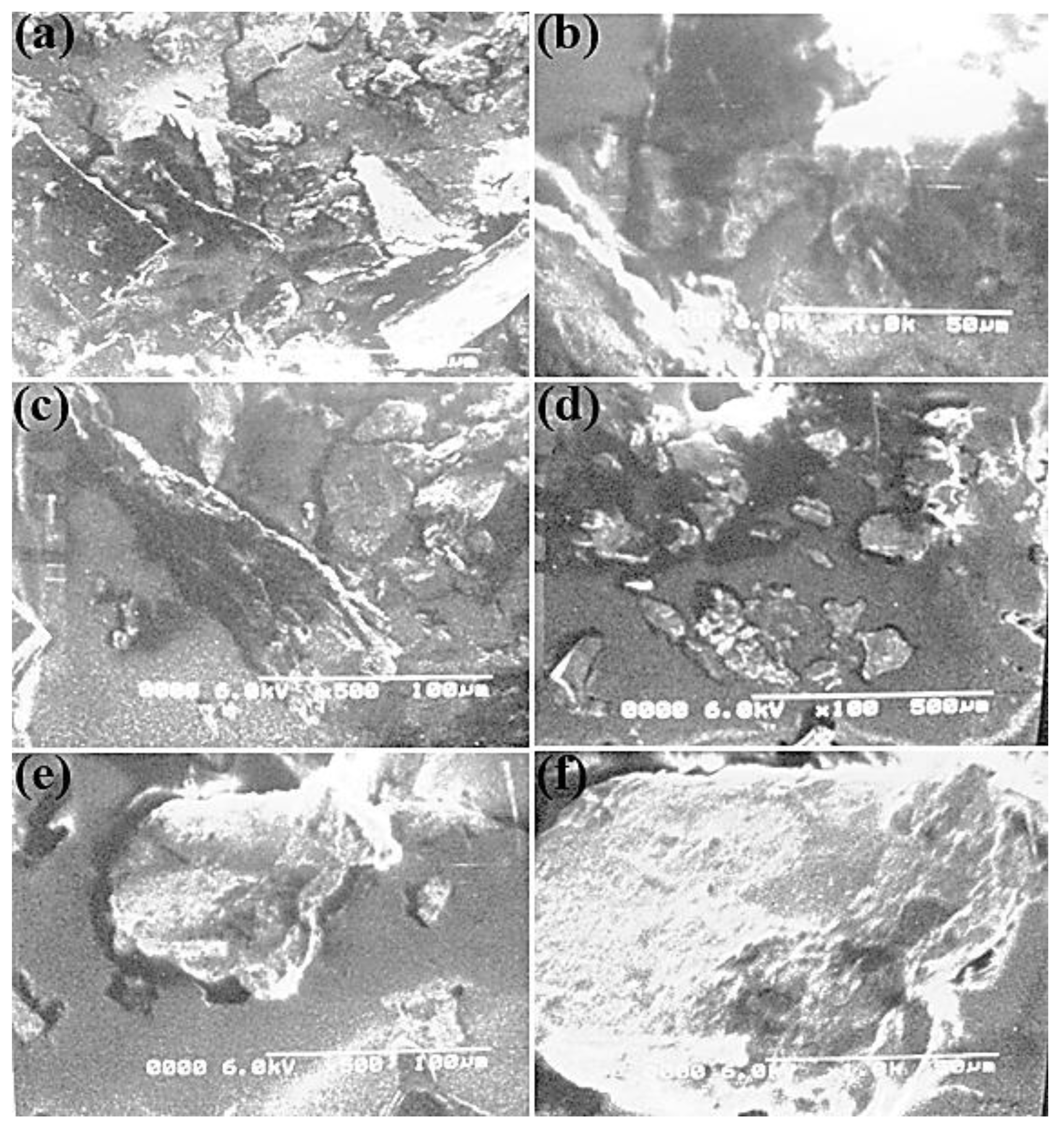Molecules 27 05477 g005