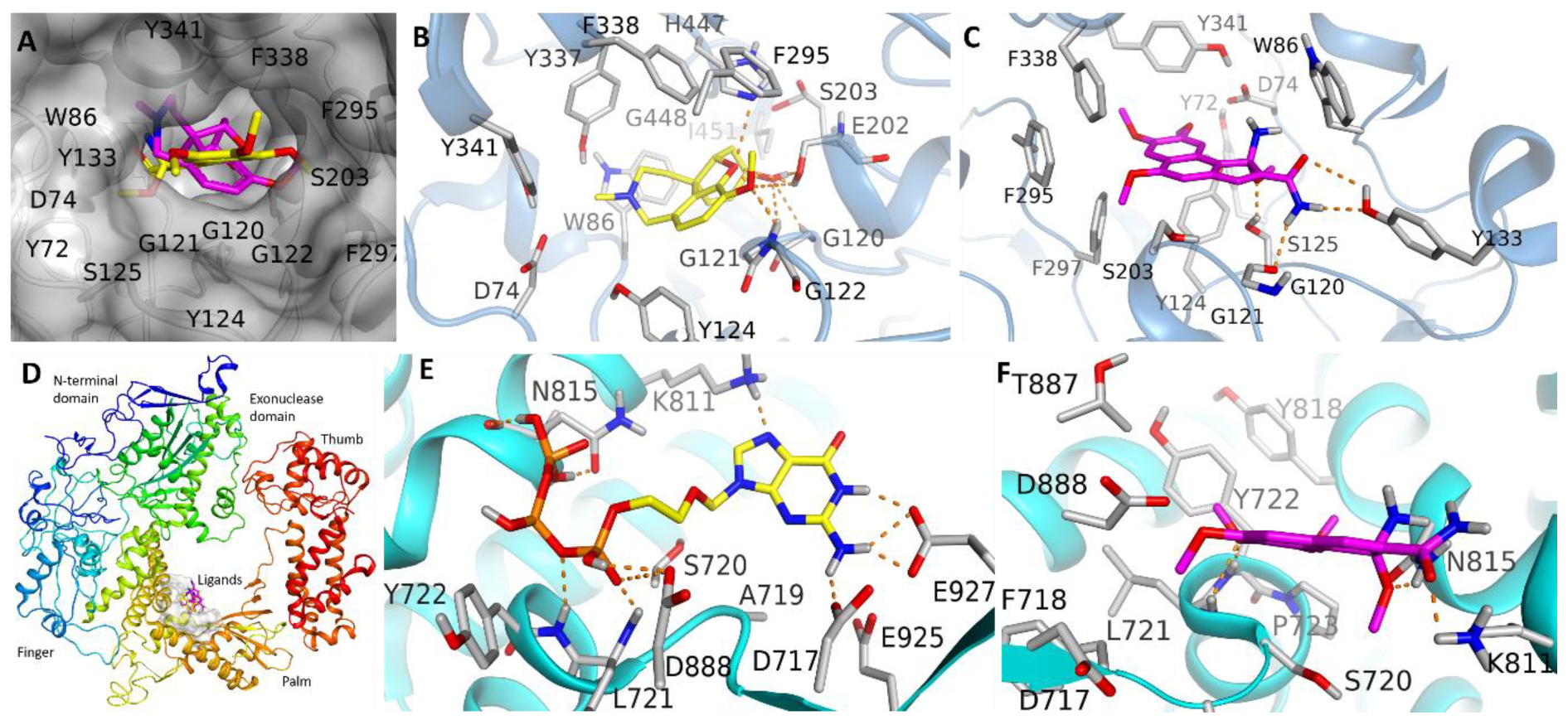 Molecules 27 05480 g005