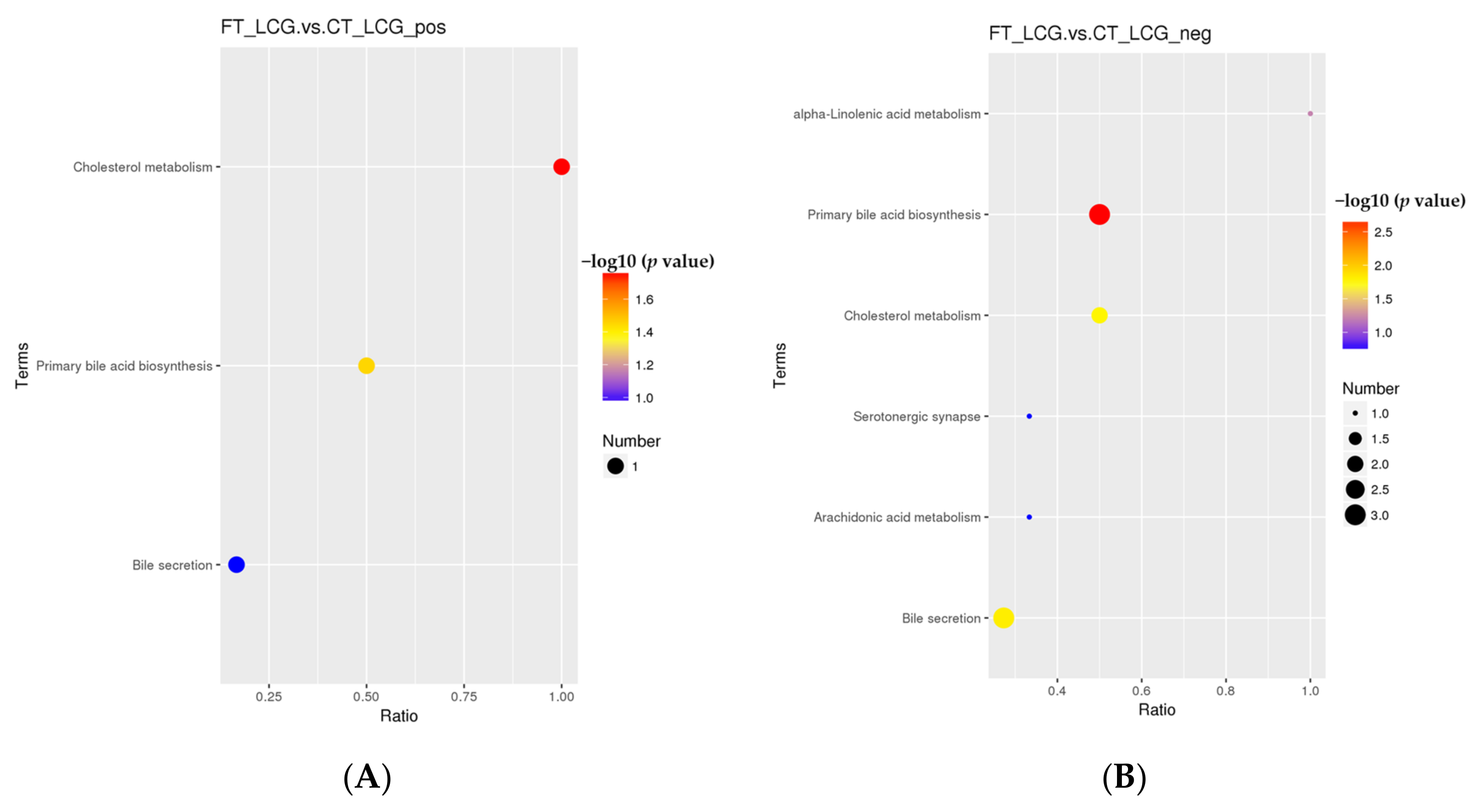 Molecules 27 05483 g010 Molecules 27 05483 g010