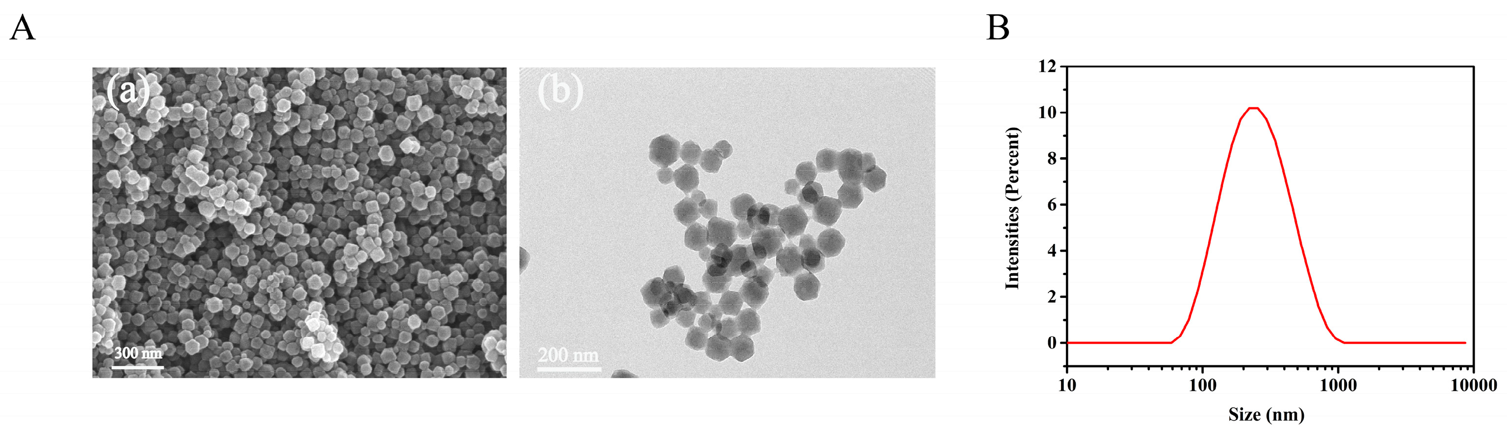 Molecules 27 05484 g001
