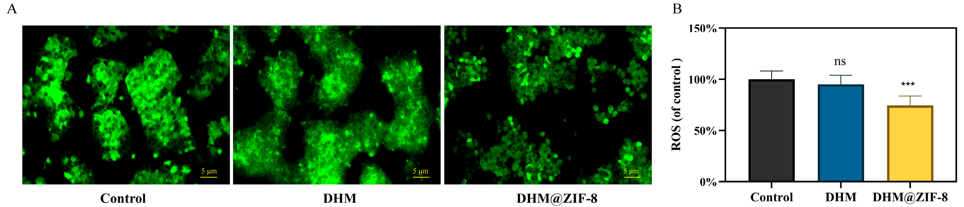 Molecules 27 05484 g006