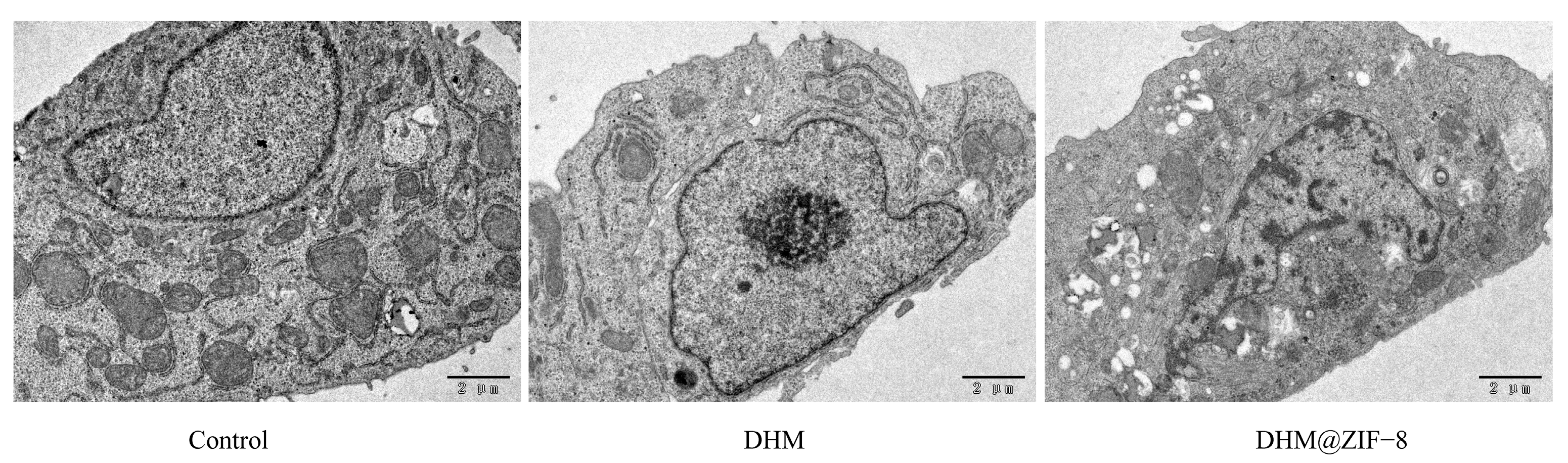 Molecules 27 05484 g008