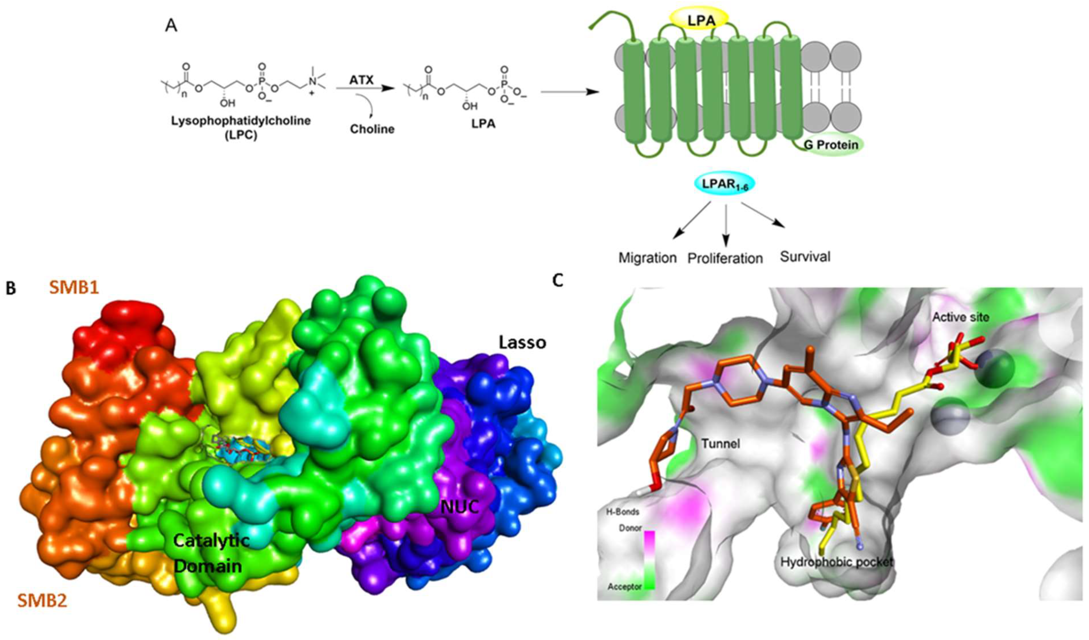 Molecules 27 05487 g001