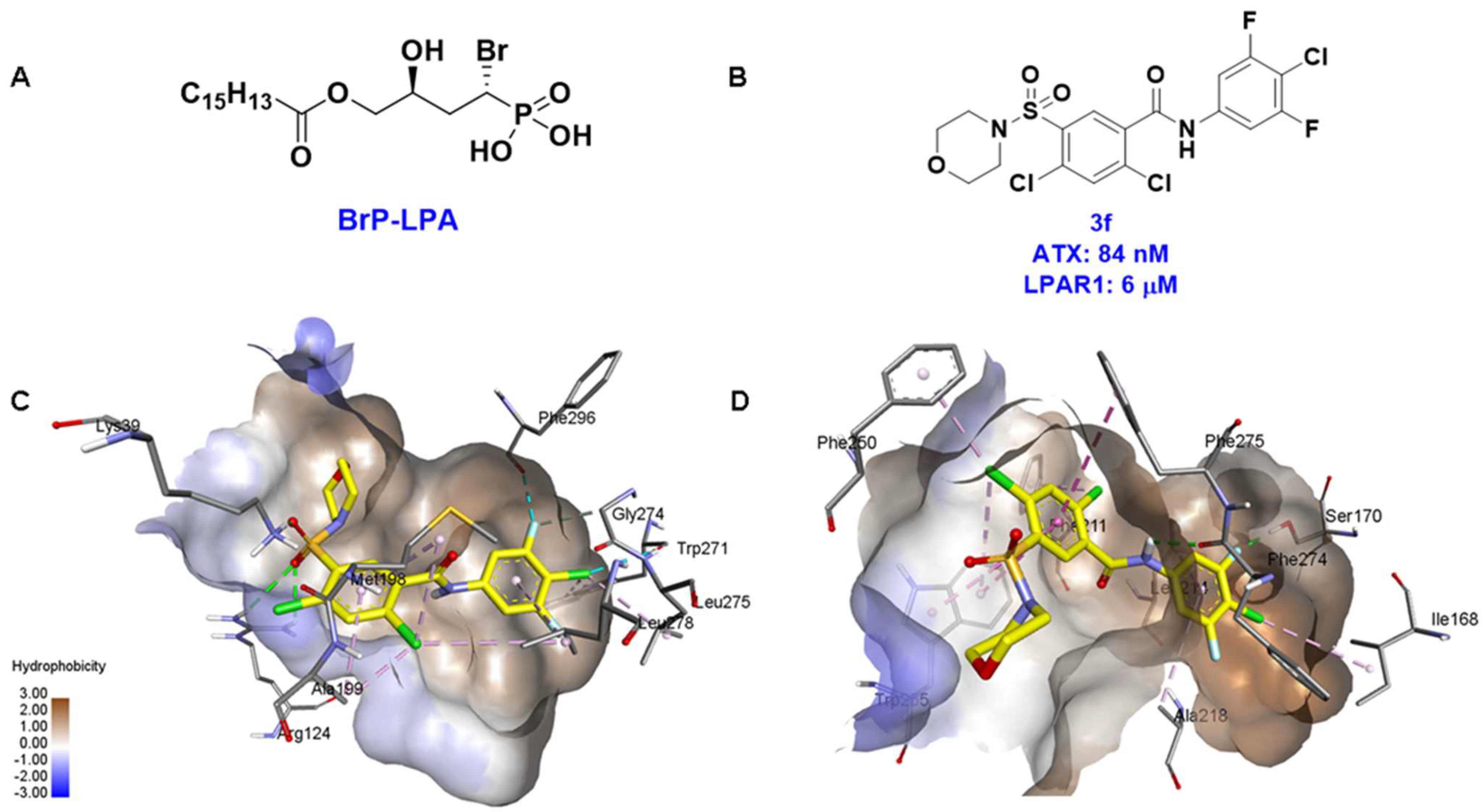 Molecules 27 05487 g003