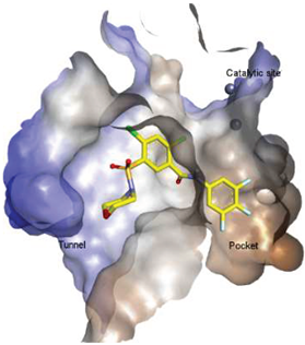 Molecules 27 05487 i003