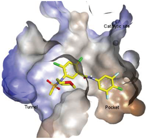 Molecules 27 05487 i007