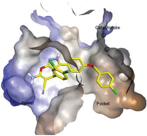 Molecules 27 05487 i009