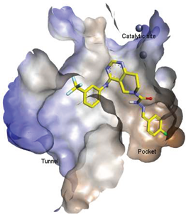 Molecules 27 05487 i012